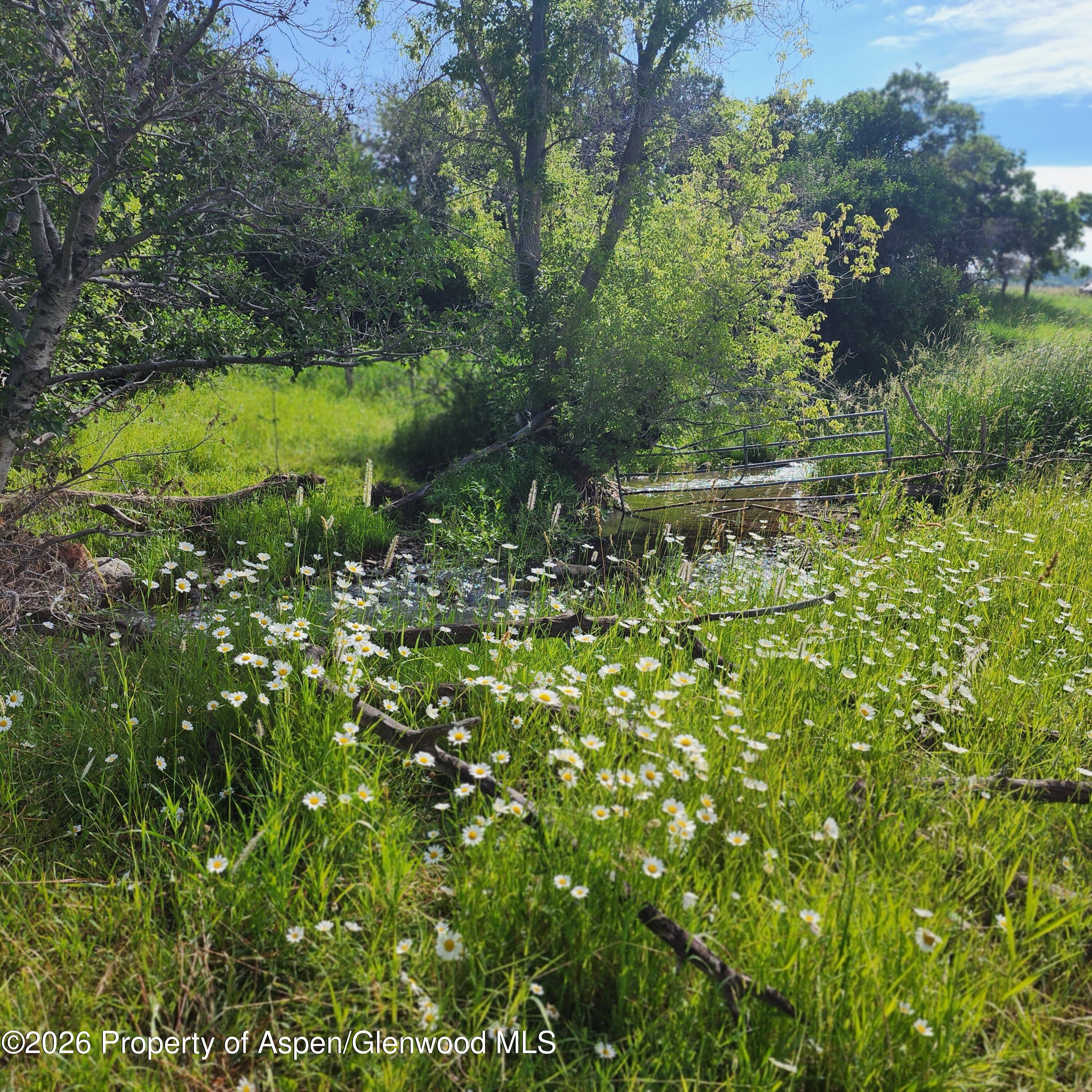 7900 County Road 41 Property Photo 13