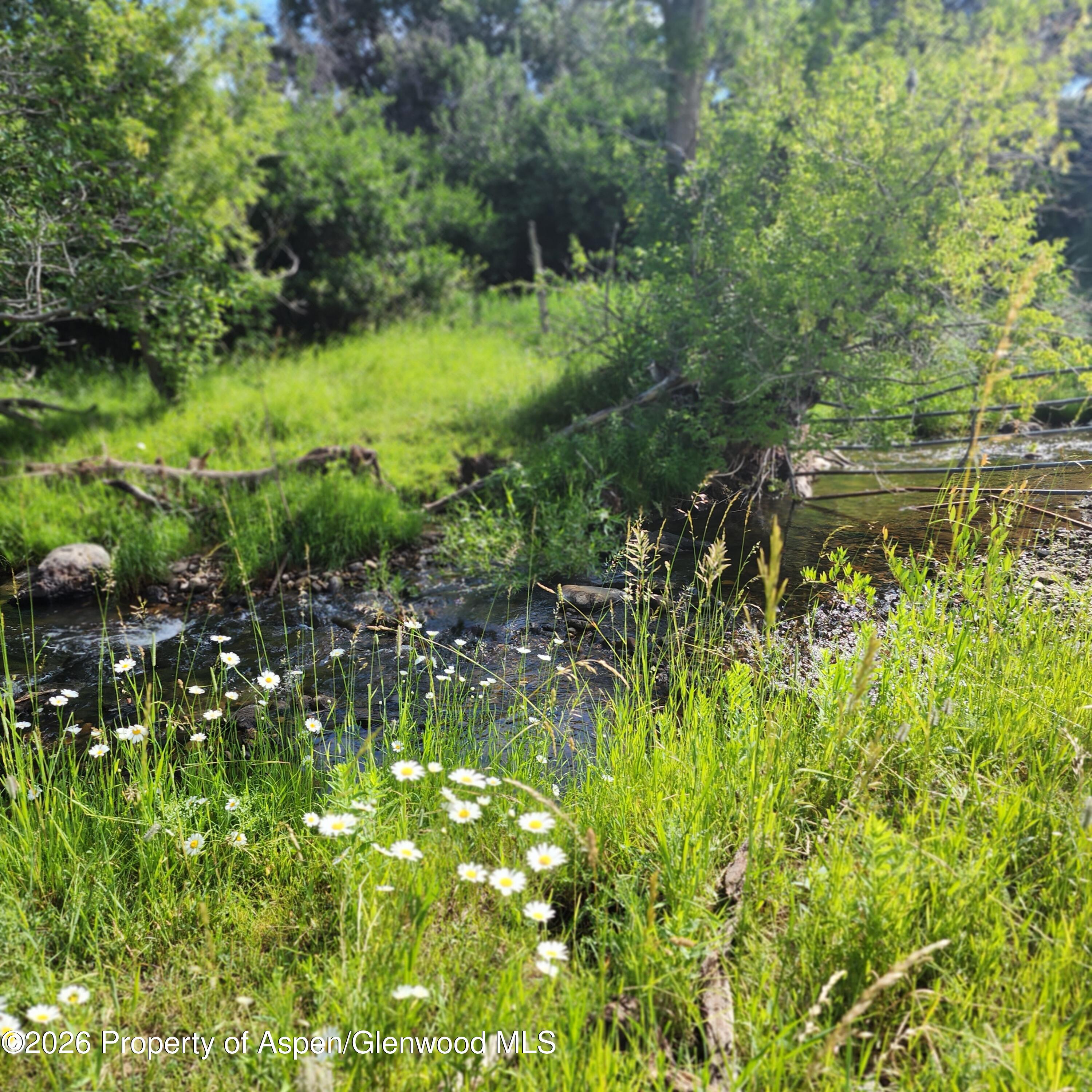 7900 County Road 41 Property Photo 14