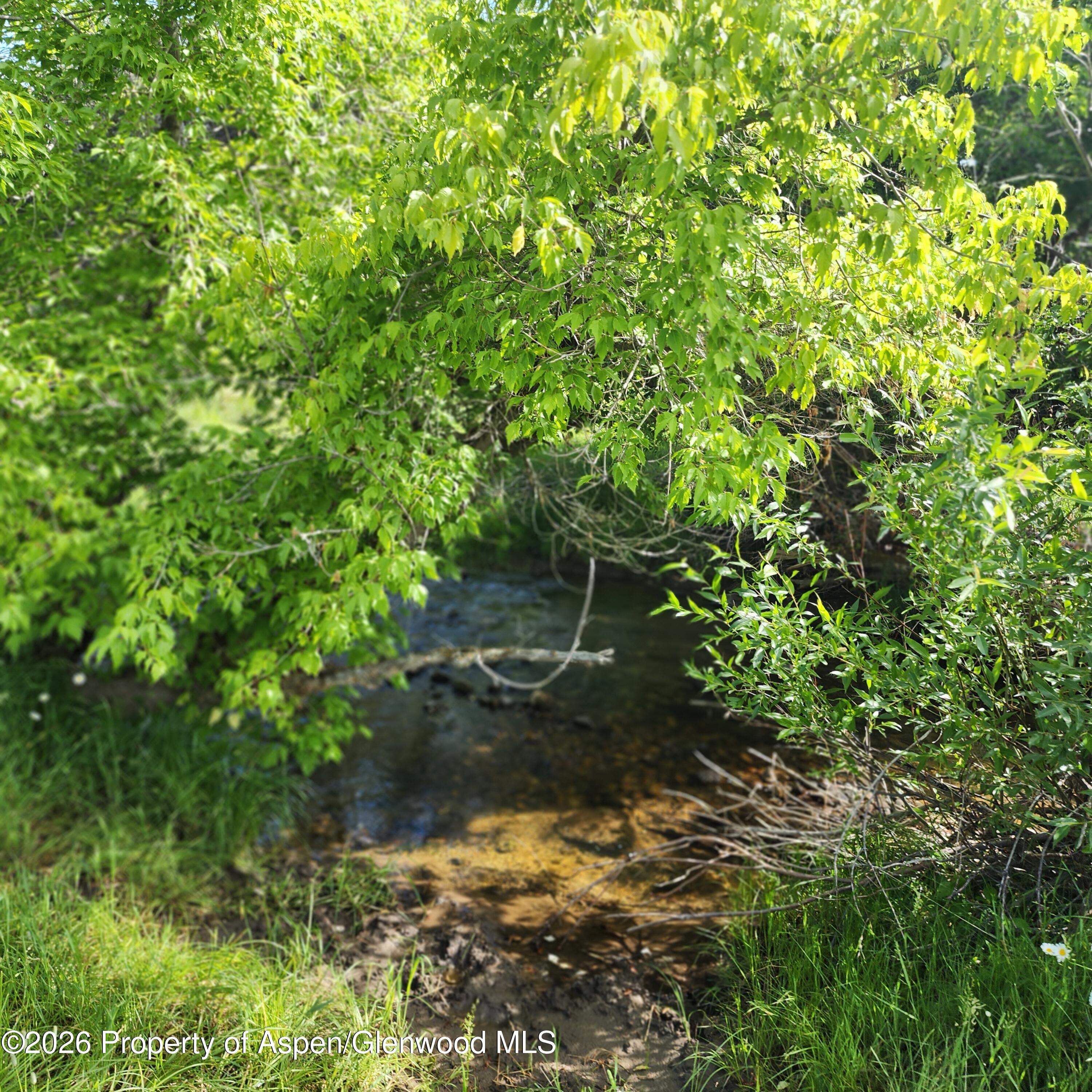 7900 County Road 41 Property Photo 16