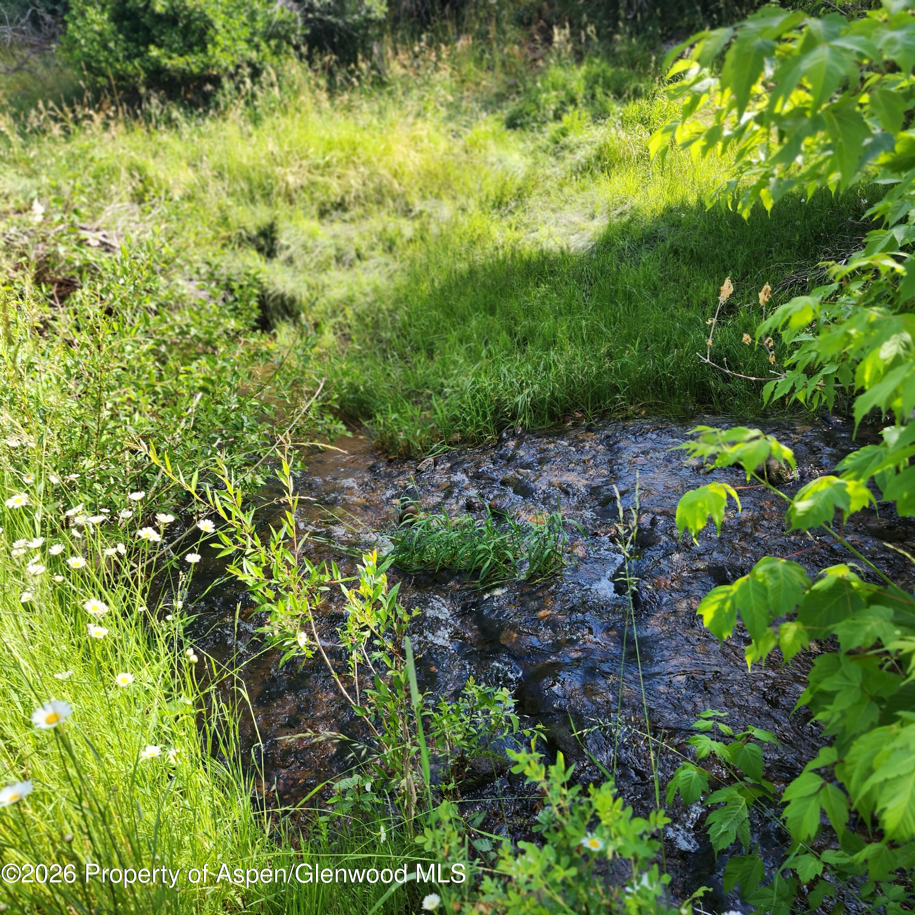 7900 County Road 41 Property Photo 17