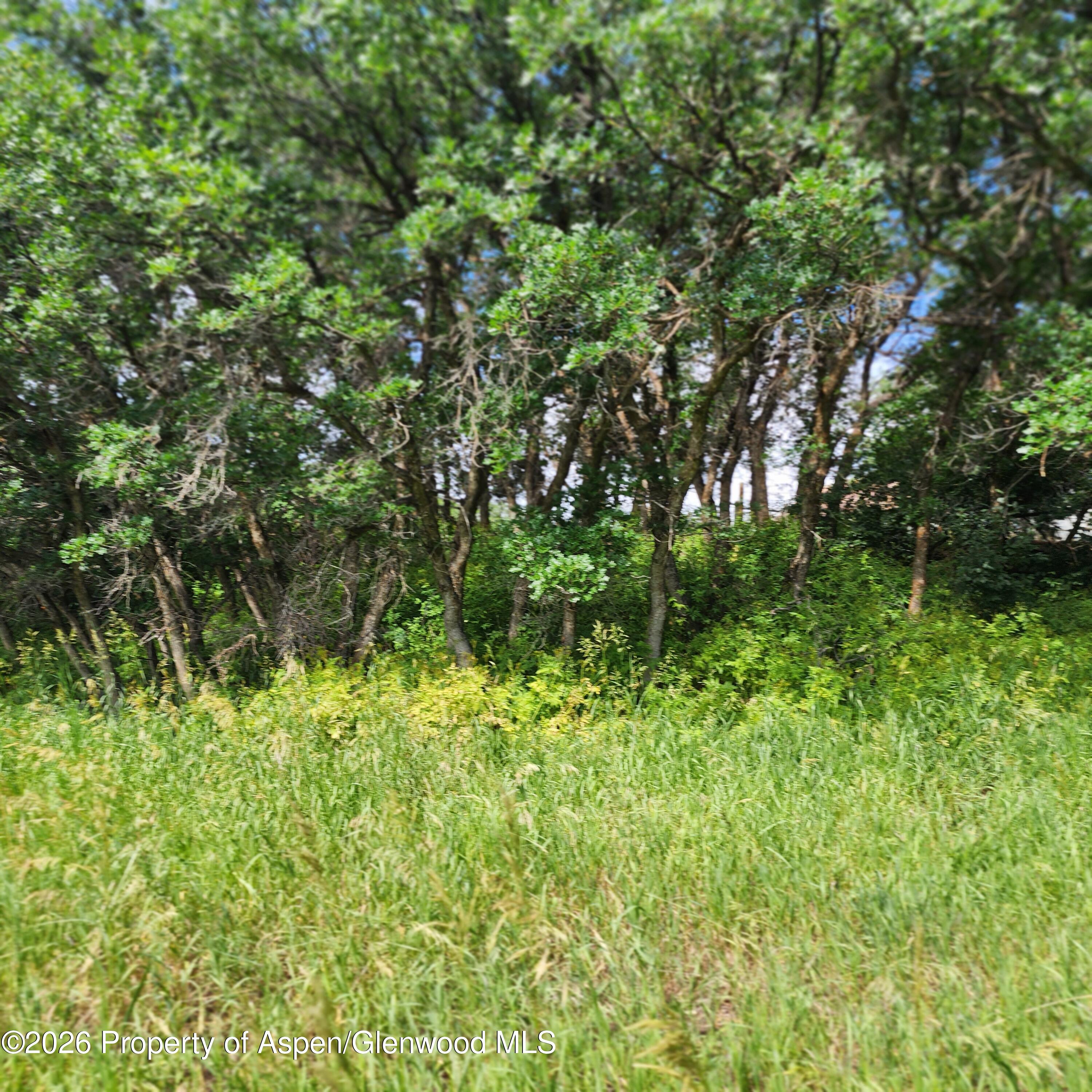 7900 County Road 41 Property Photo 24