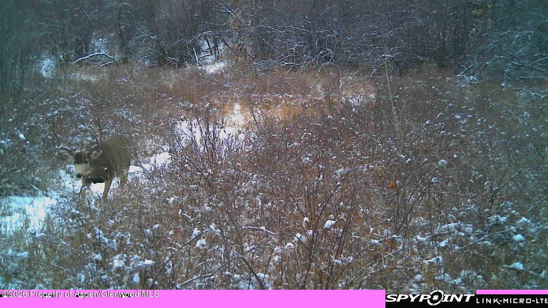 Tbd County Road 313 Property Photo 12