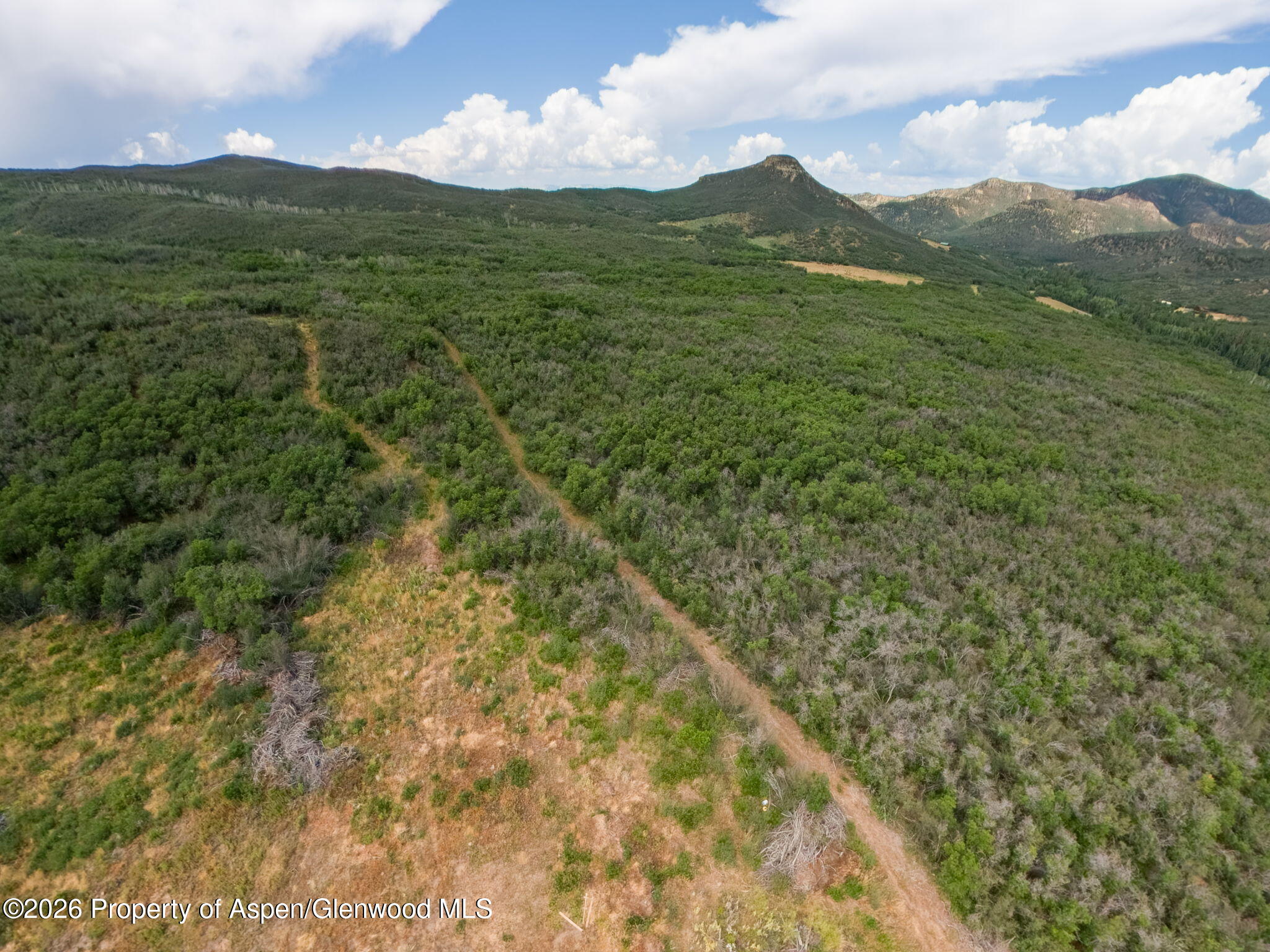 Tbd County Road 313 Property Photo 24