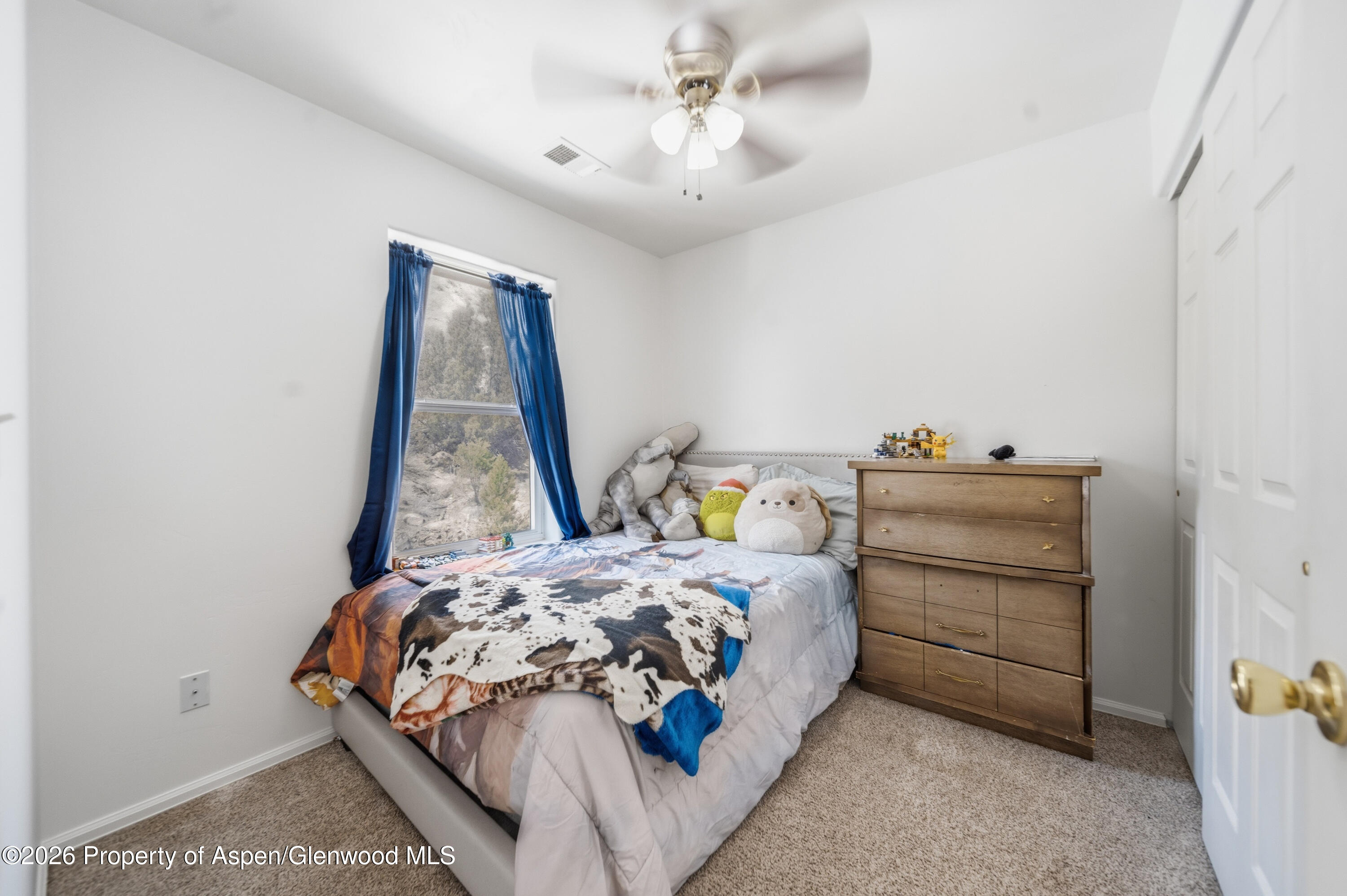 2617 Cheyenne Court Property Photo 6