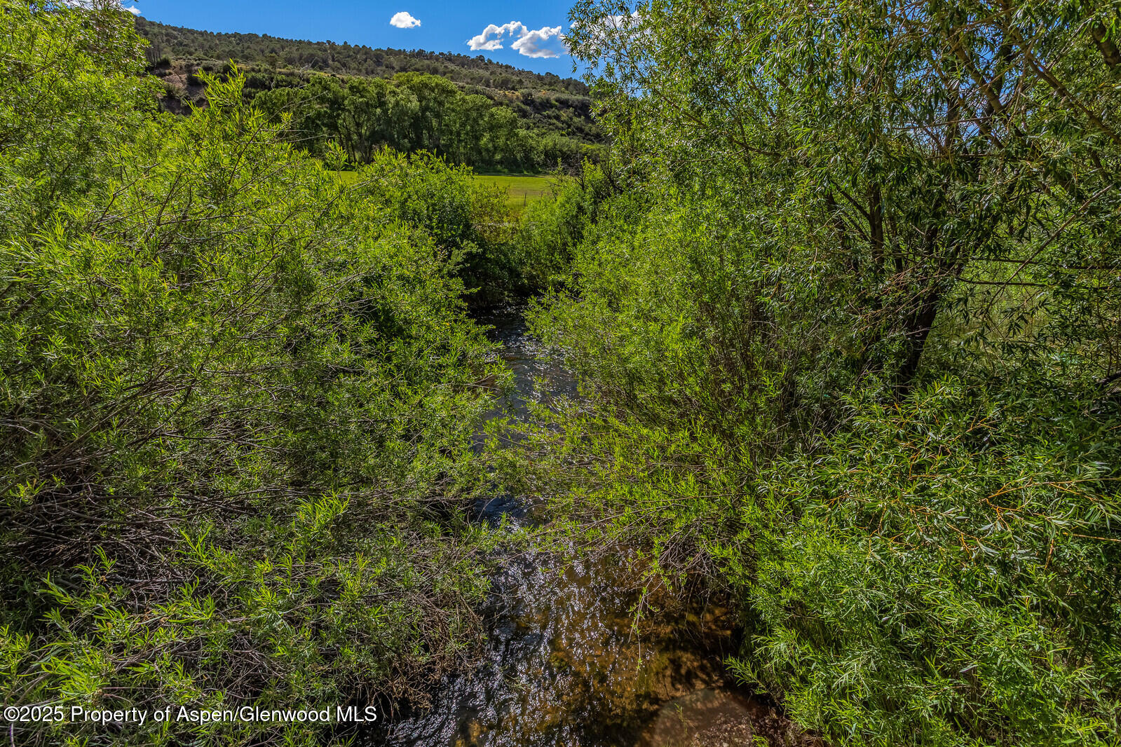 902/904 Sopris Creek Road Property Photo 22