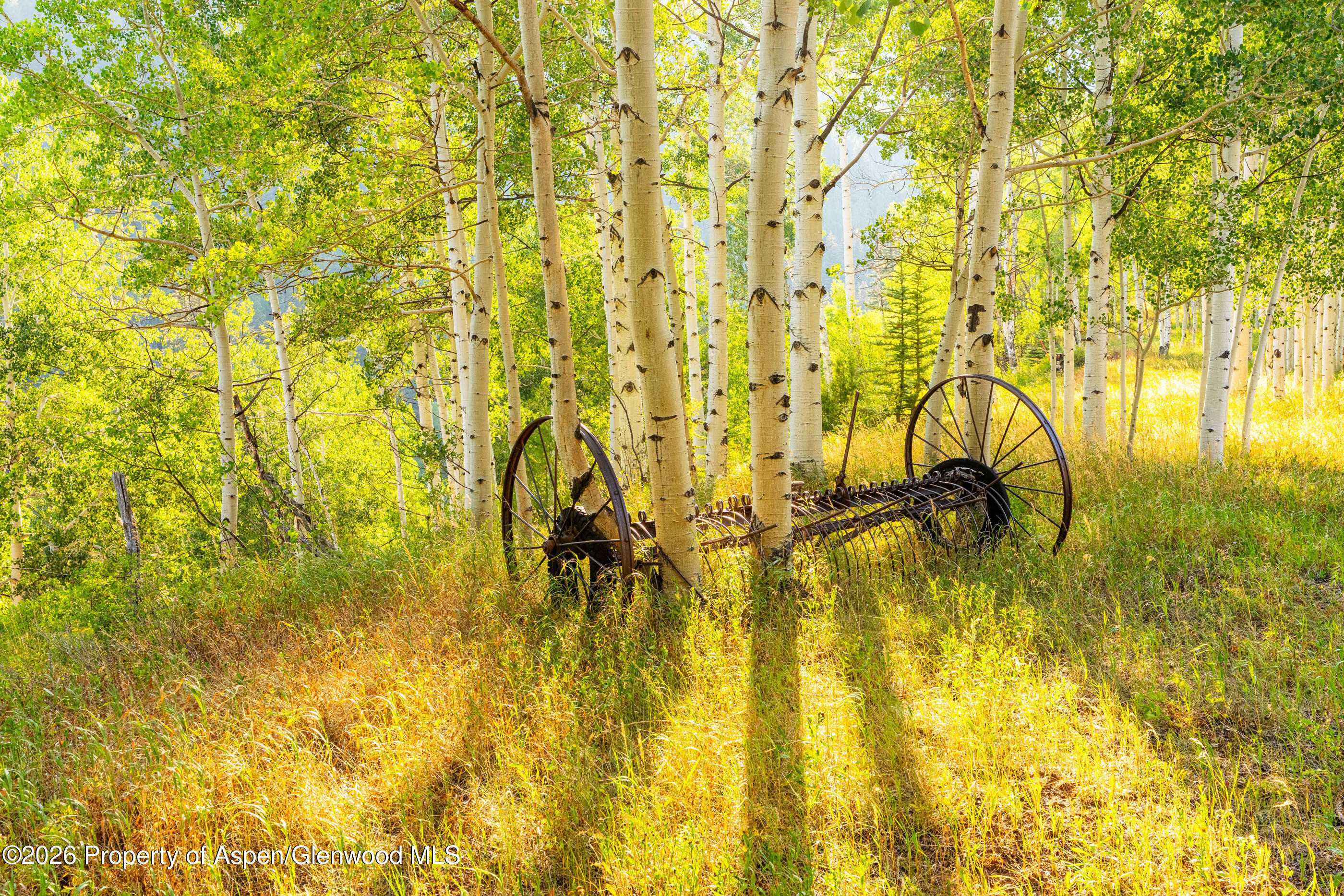 294 Ruedi Creek Road Property Photo 54