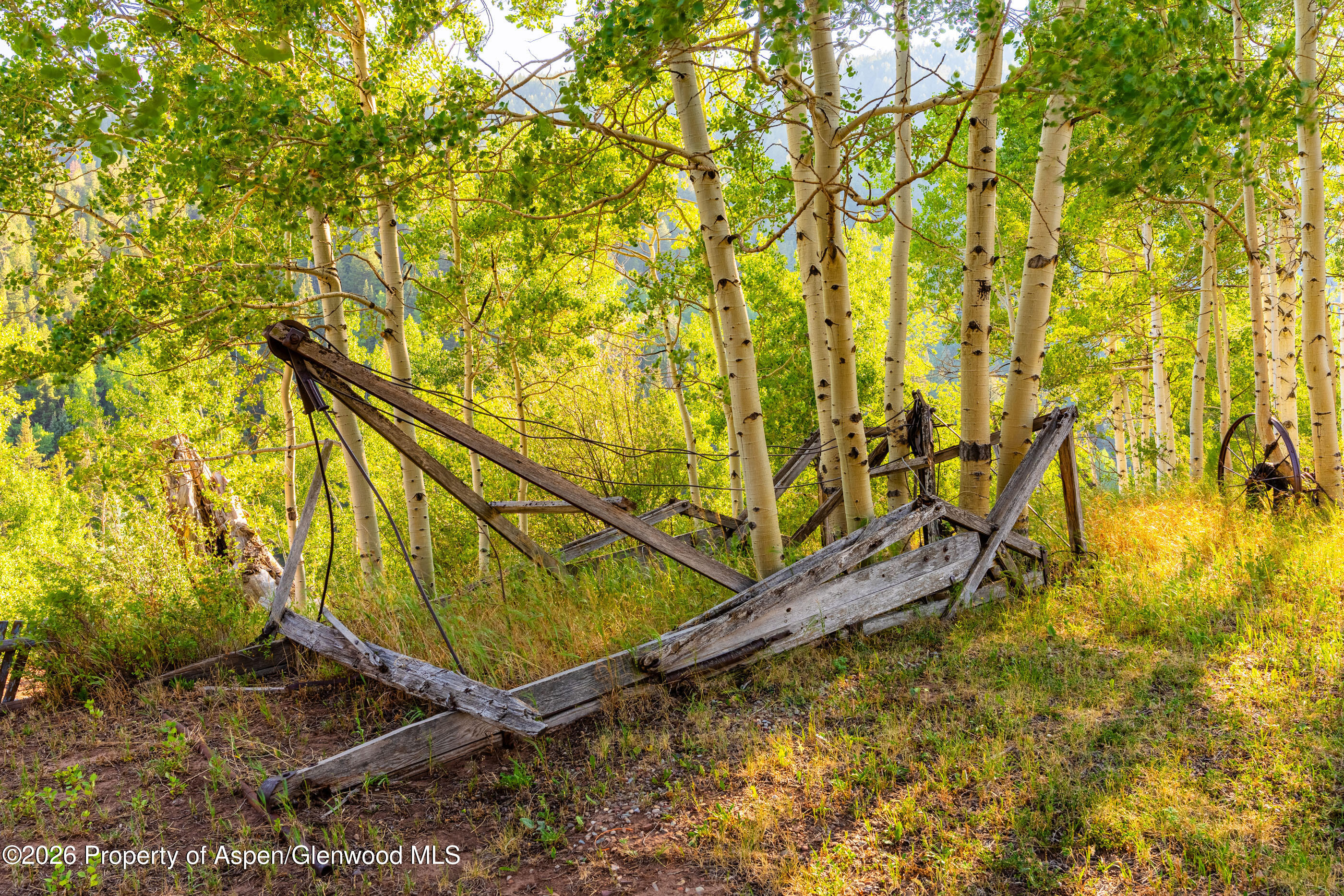 294 Ruedi Creek Road Property Photo 55