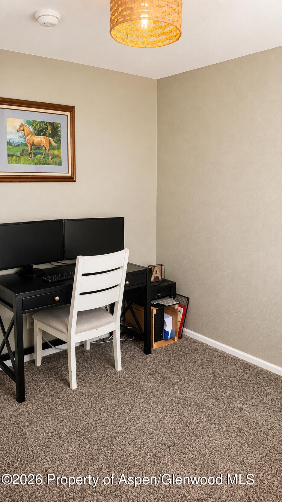 15184 45 1/2 Road Property Photo 28