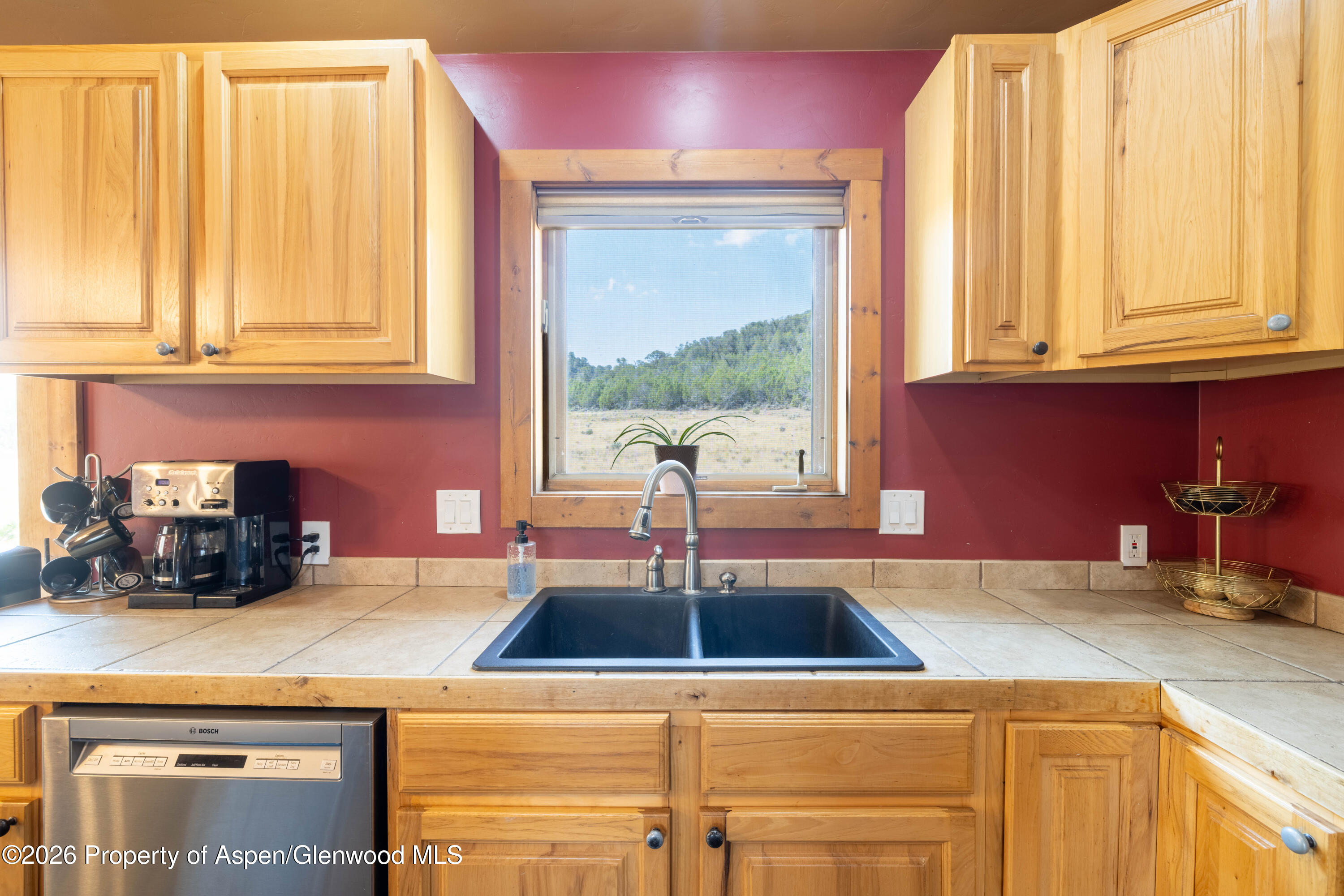 283 S Cedar Springs Ranch Road Property Photo 12