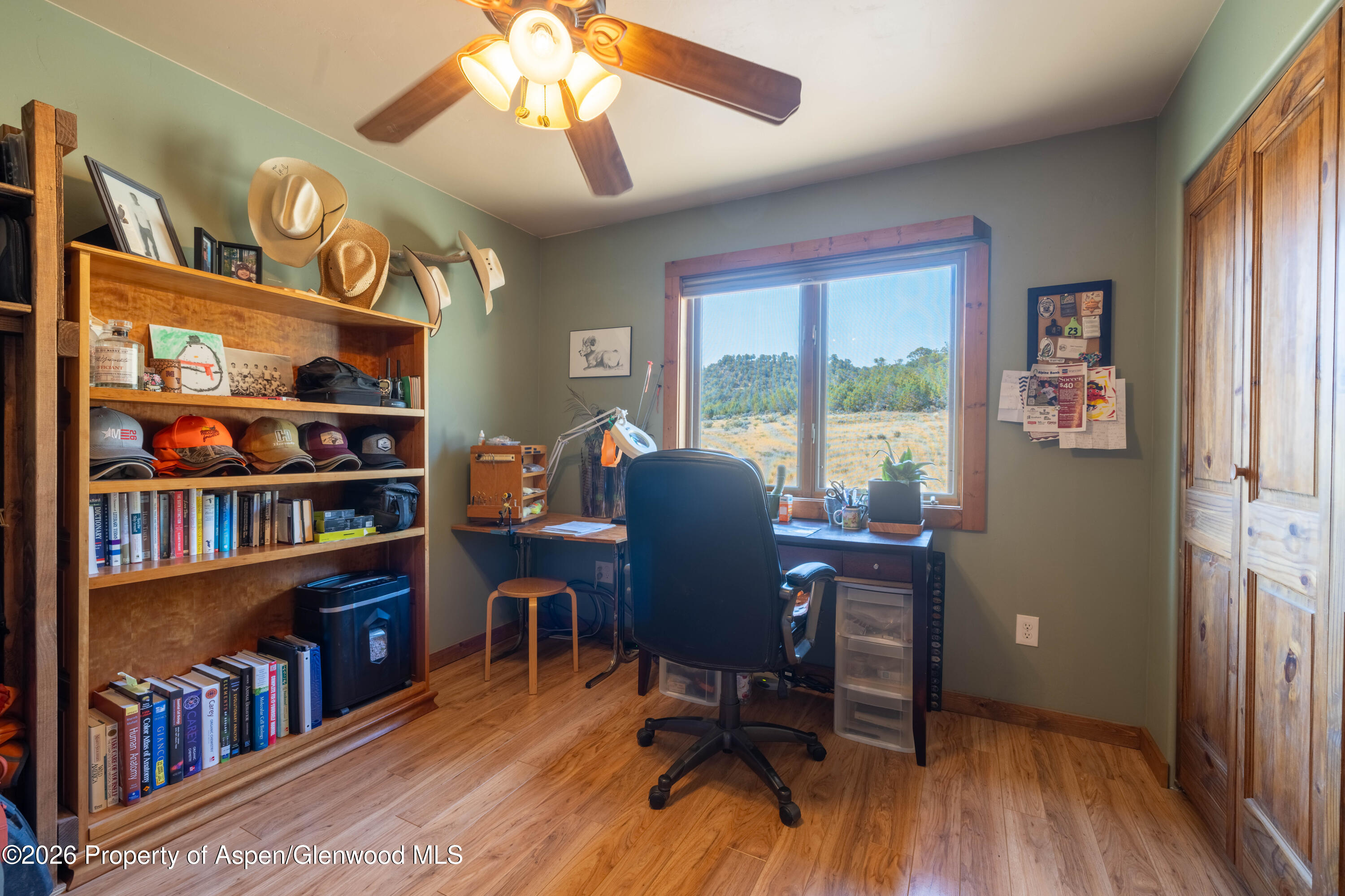 283 S Cedar Springs Ranch Road Property Photo 13