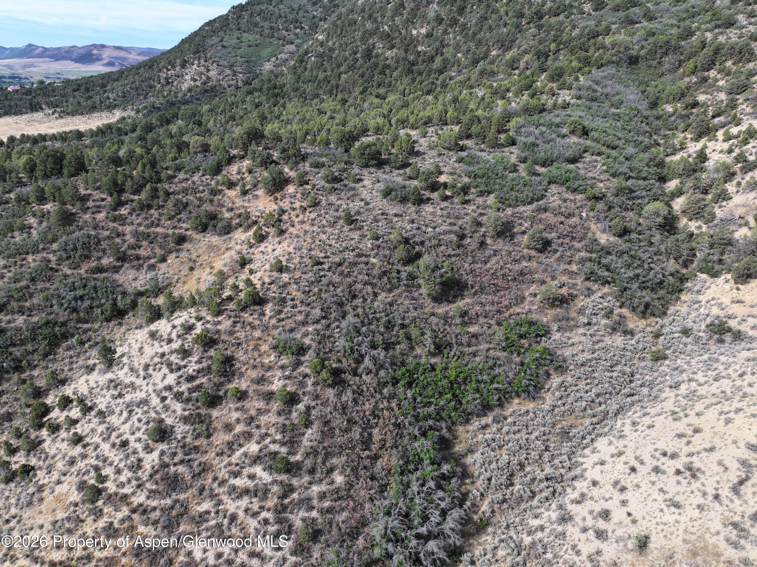 Tbd County Road 11 Property Photo 12