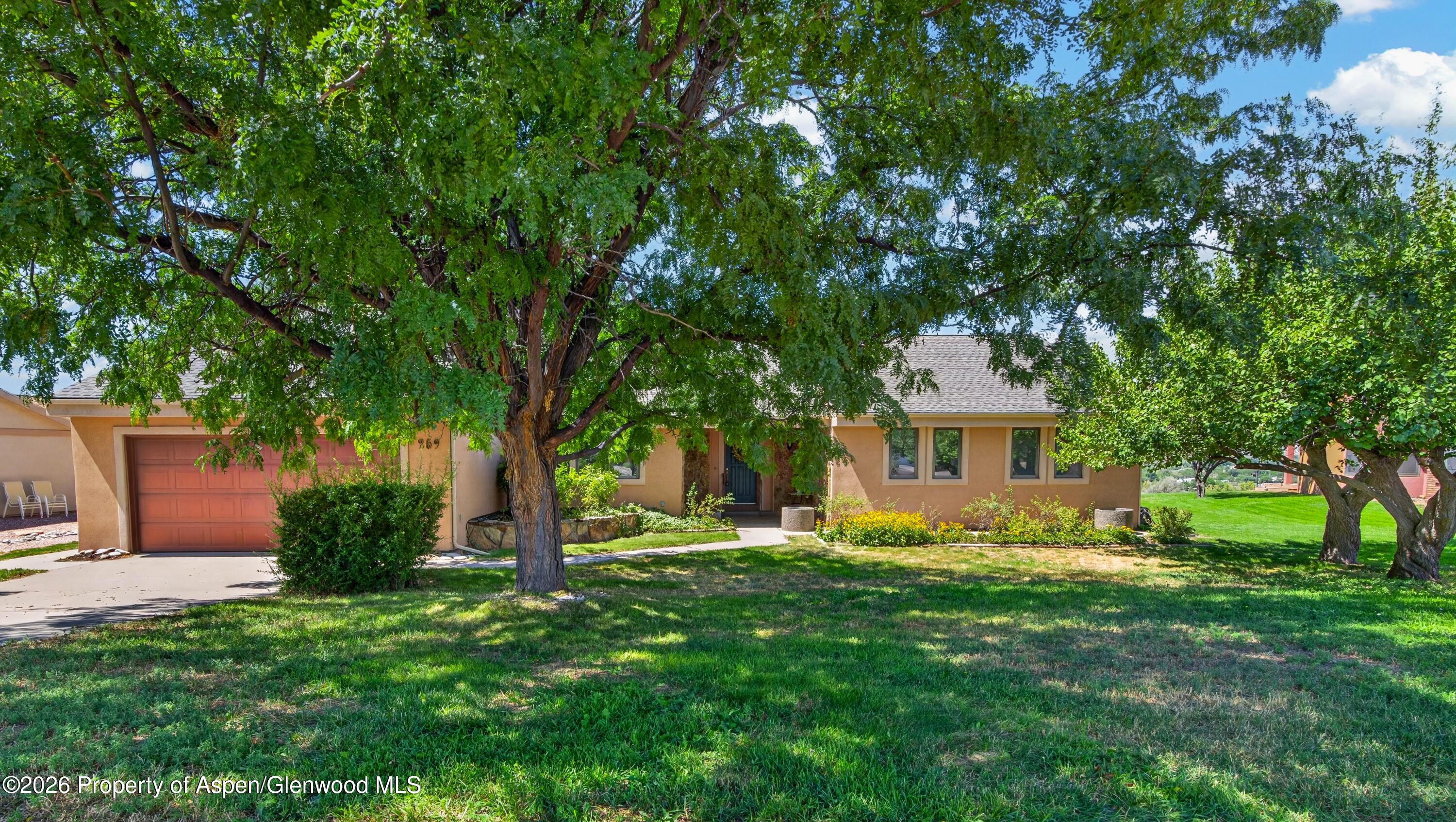 259 Willow Creek Trail