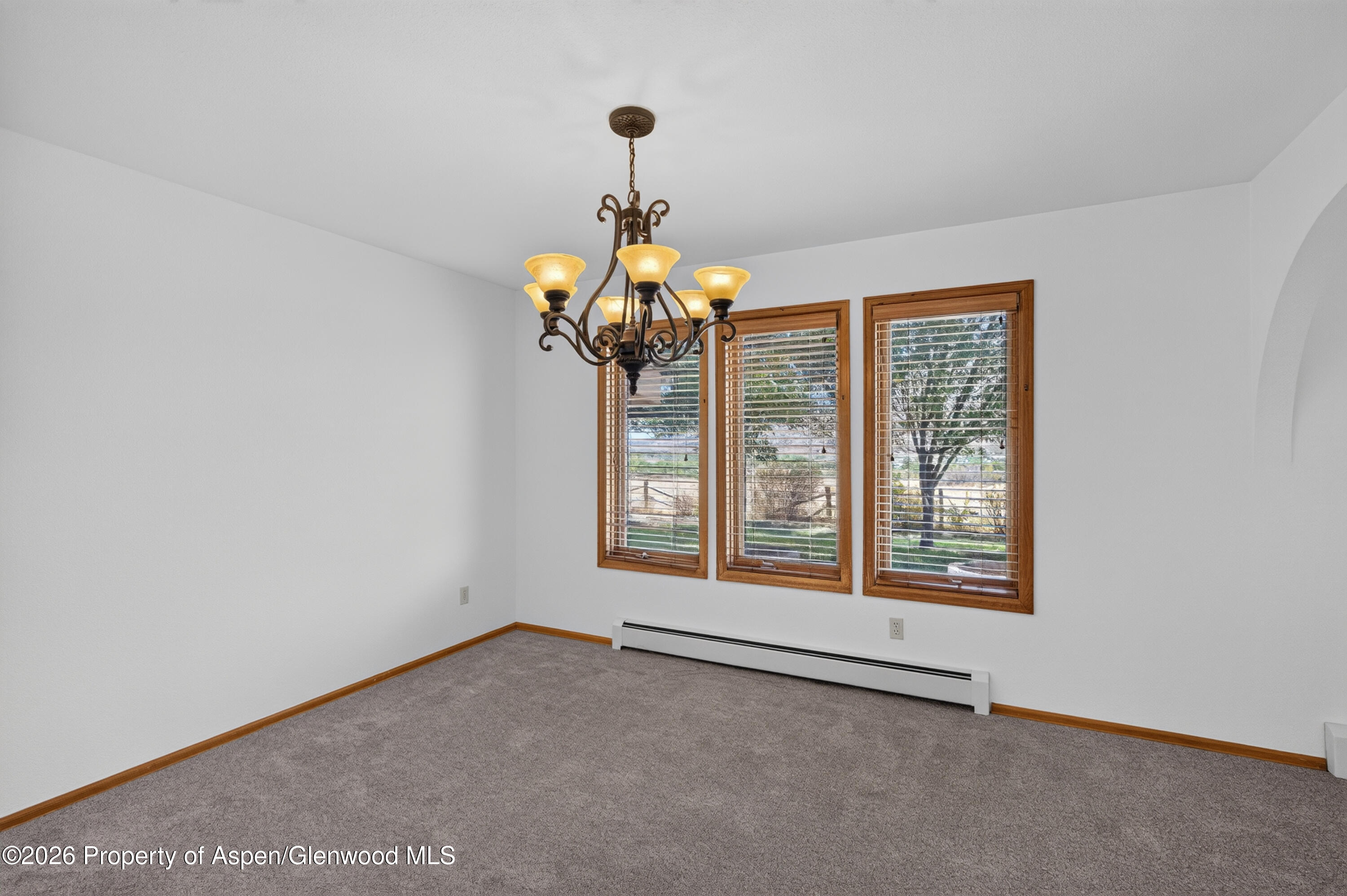 259 Willow Creek Trail Property Photo 8