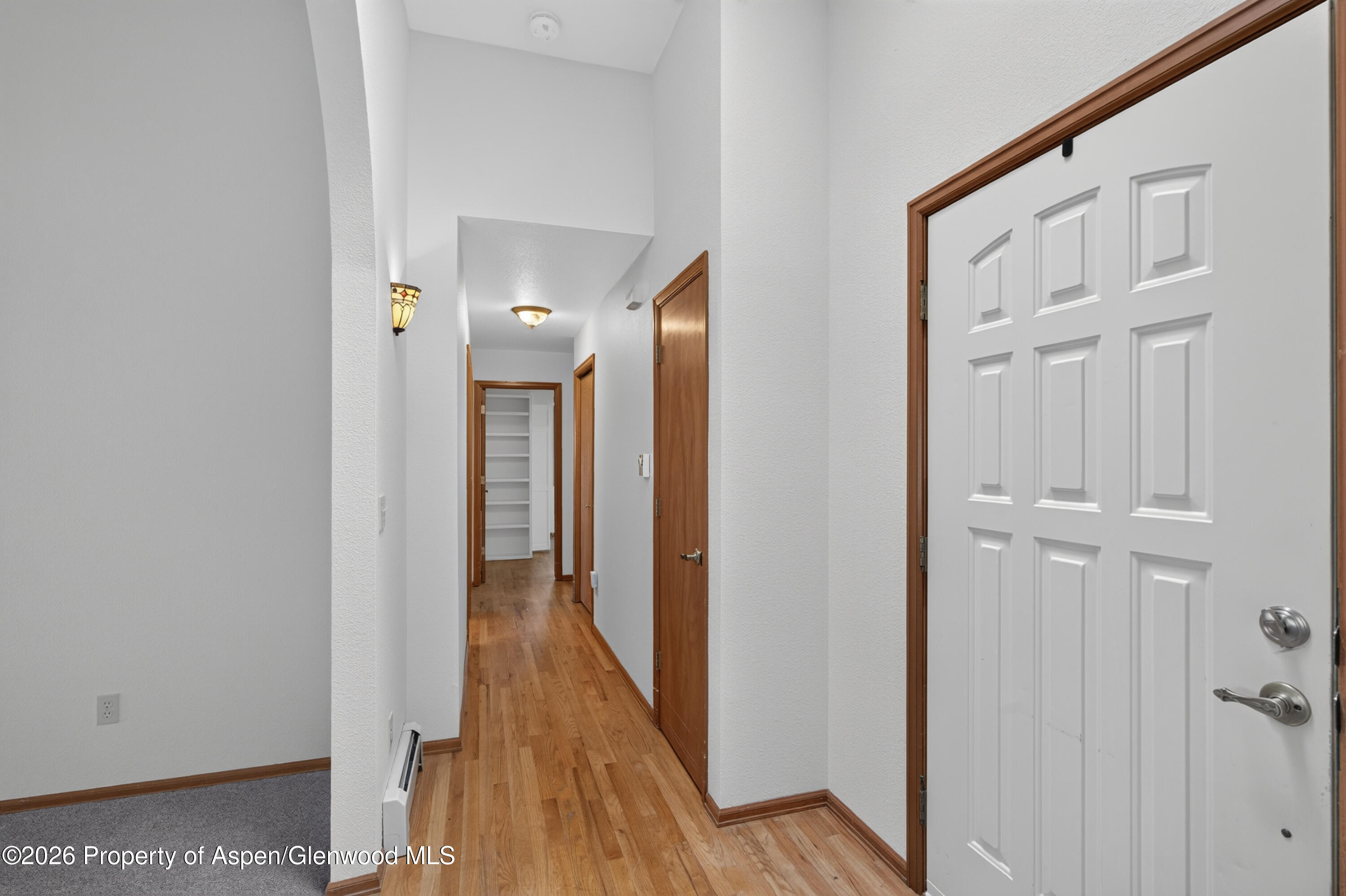 259 Willow Creek Trail Property Photo 22