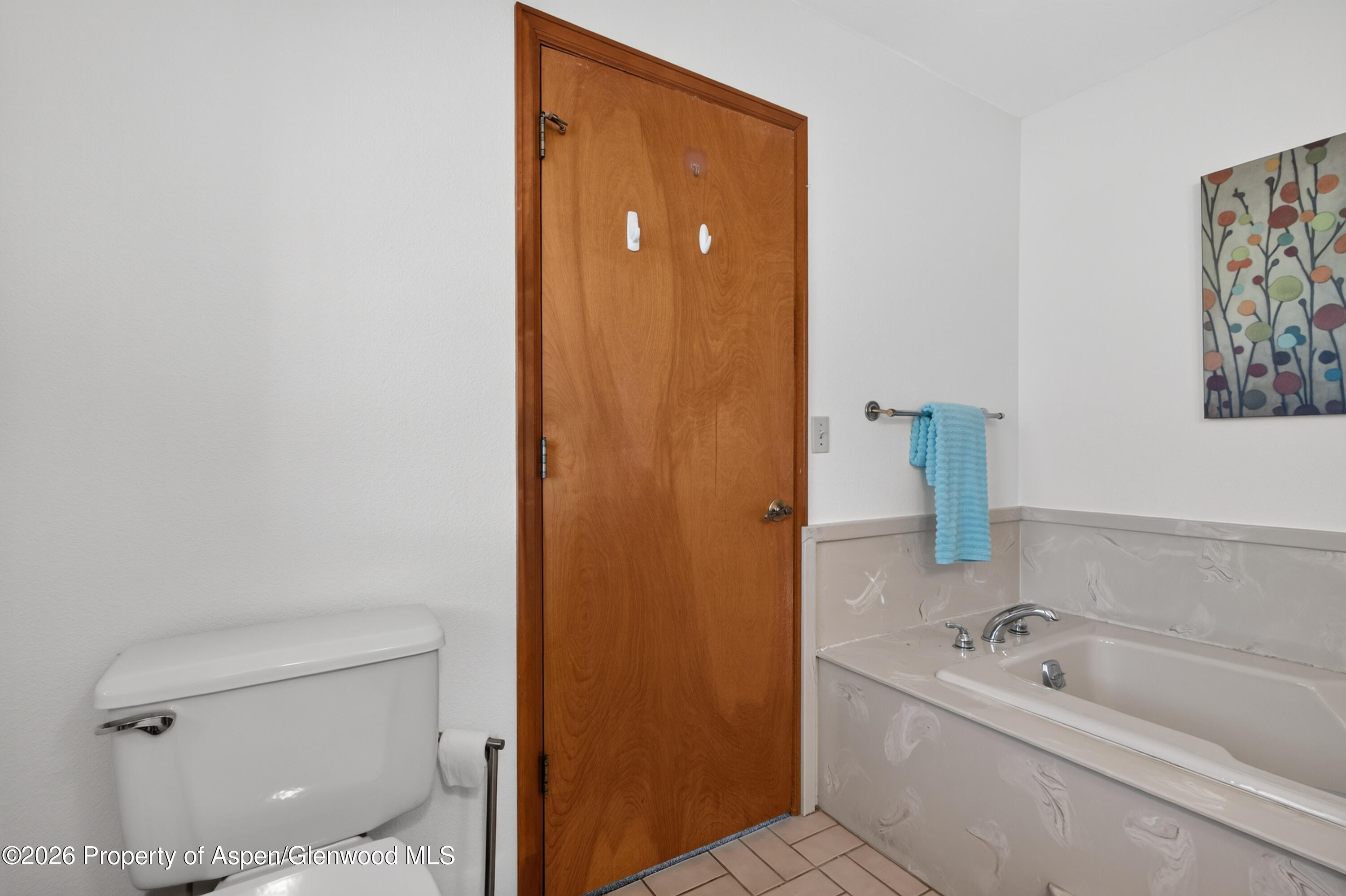 259 Willow Creek Trail Property Photo 26