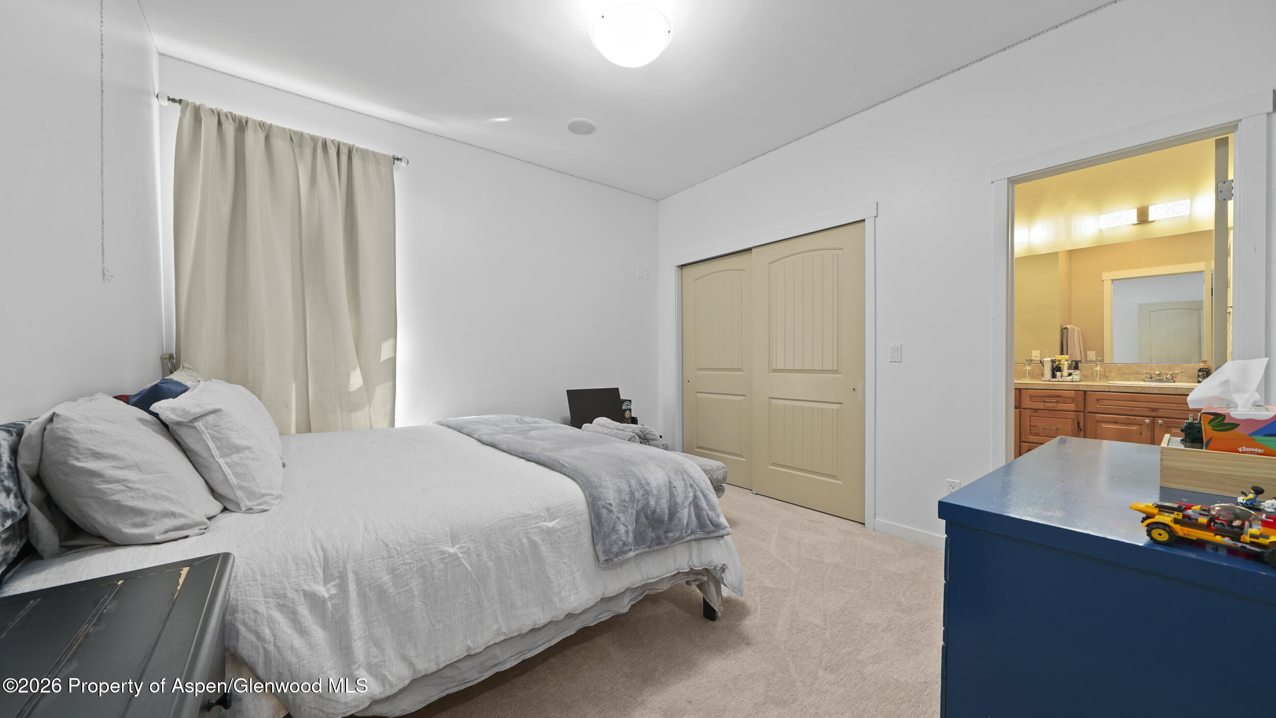 302 Silver Mountain Drive Property Photo 19