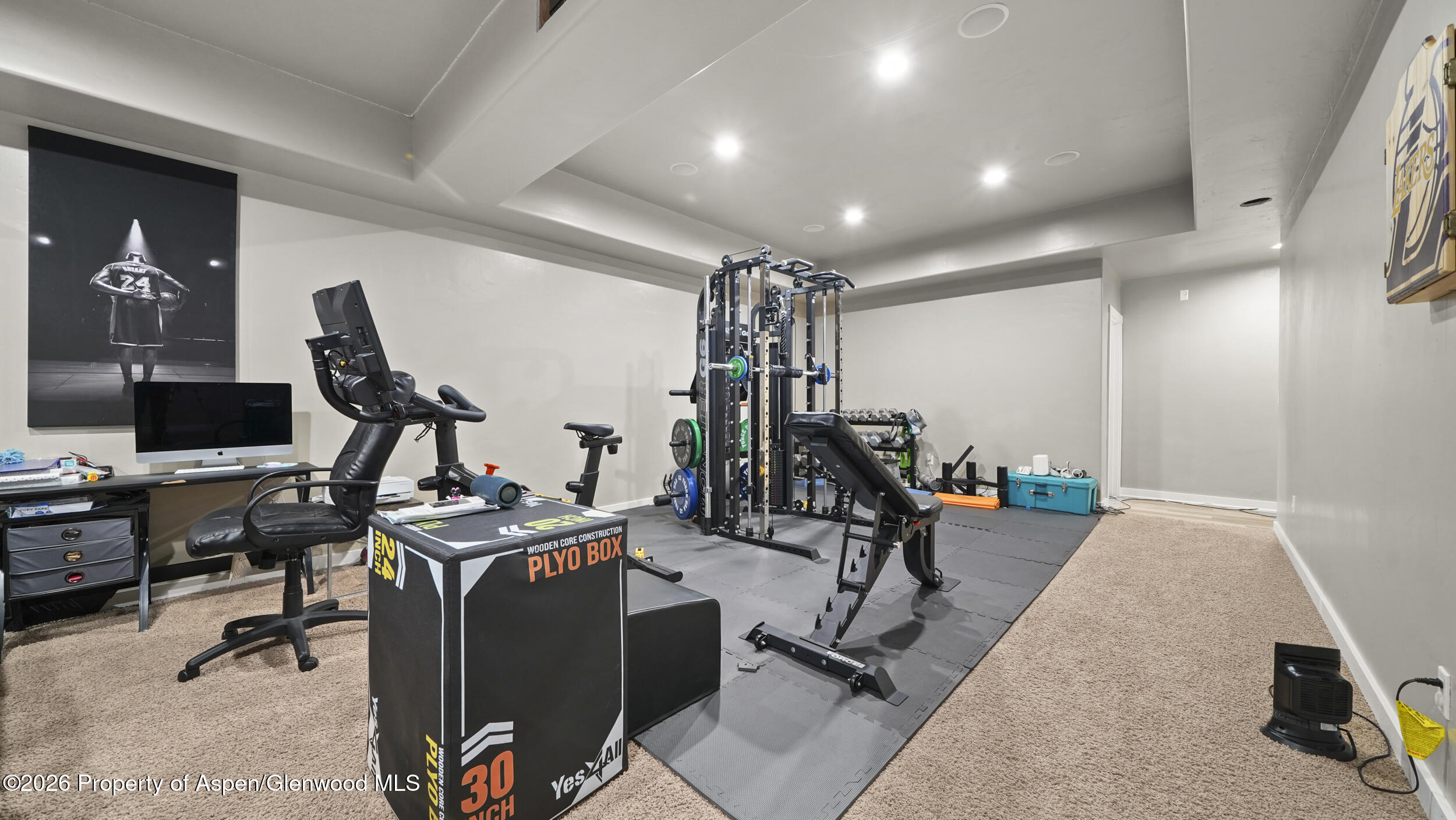 302 Silver Mountain Drive Property Photo 25