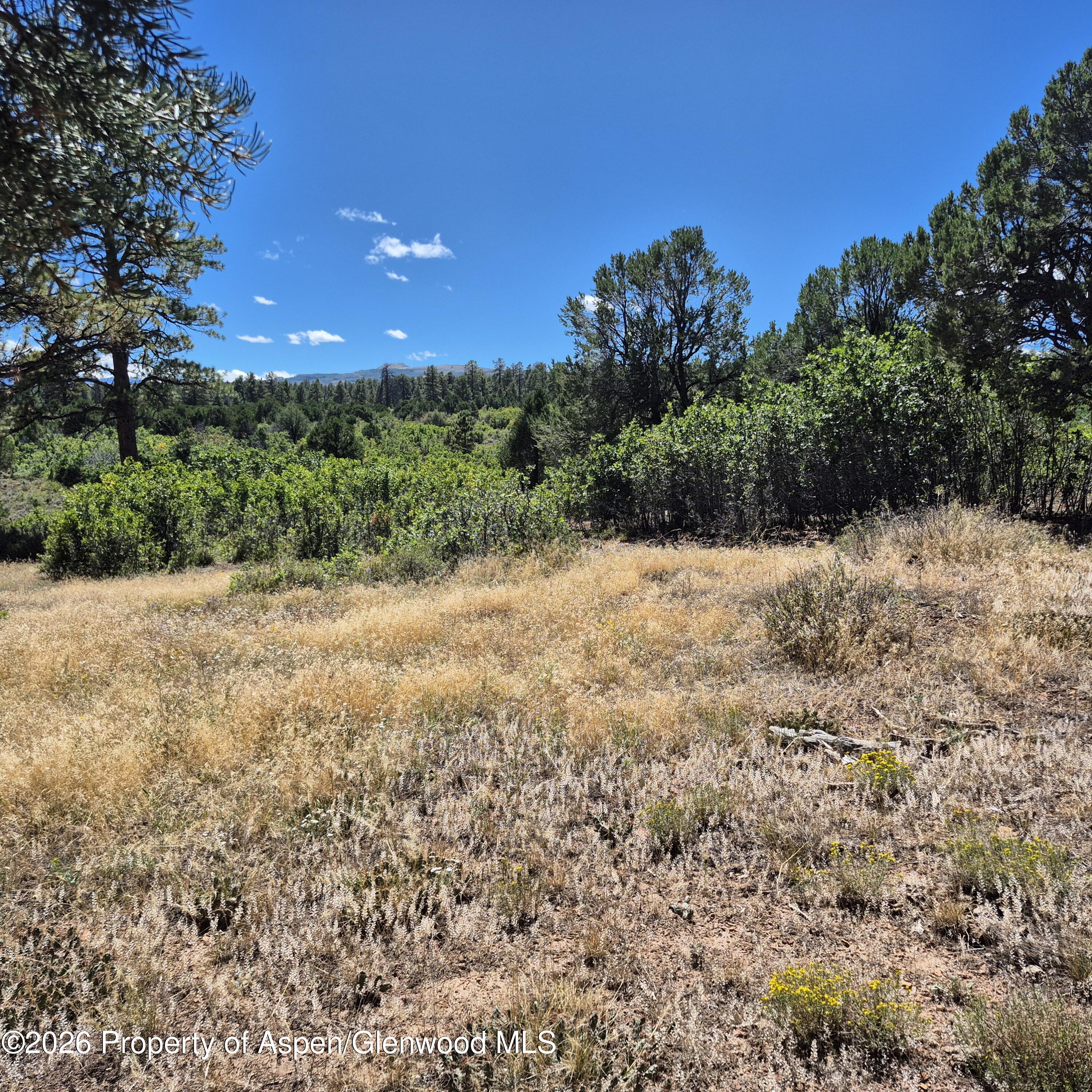 1620 Wildcat Canyon Road Property Photo 1