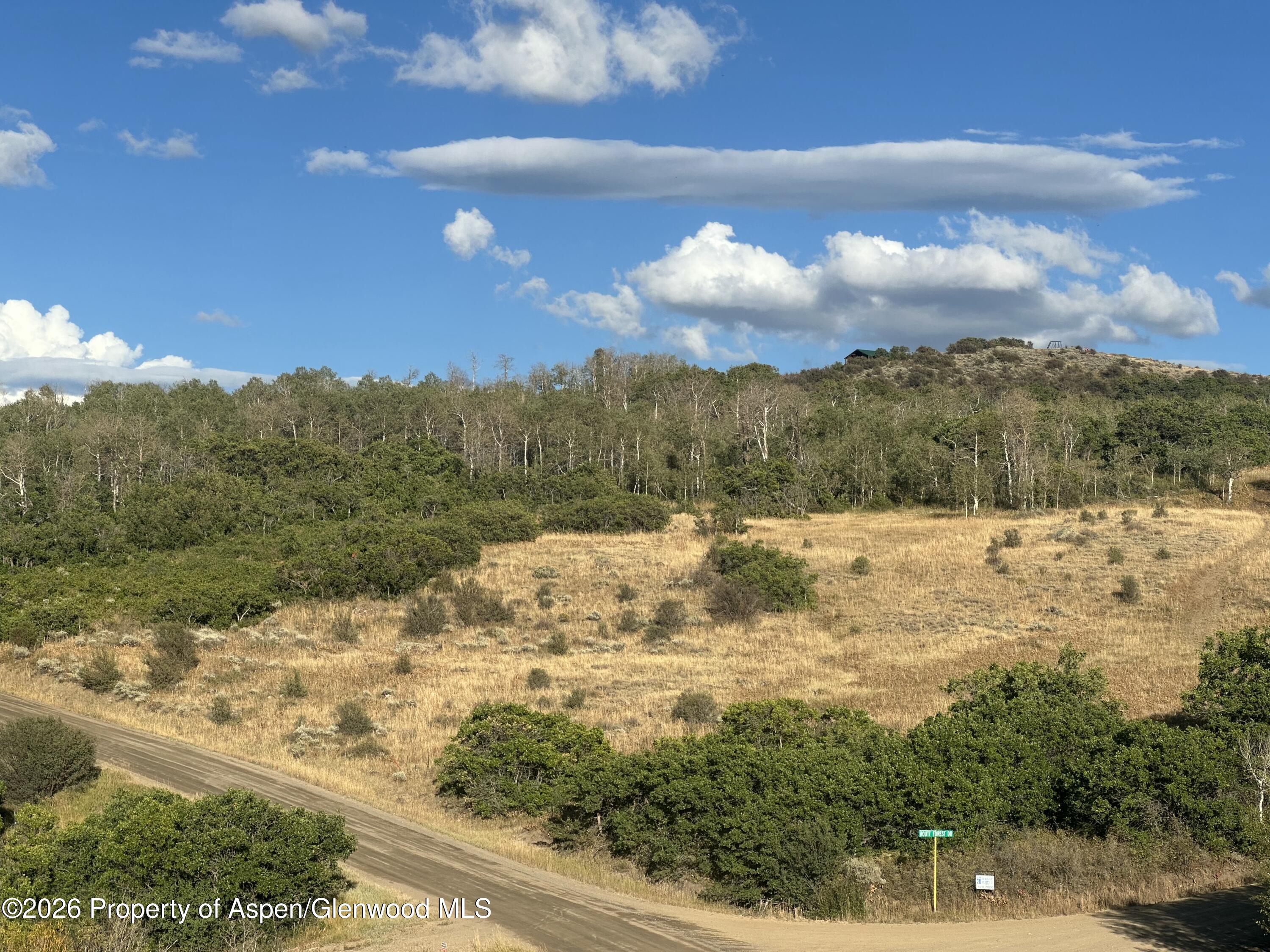 3604 Timberlane Drive Property Photo 1