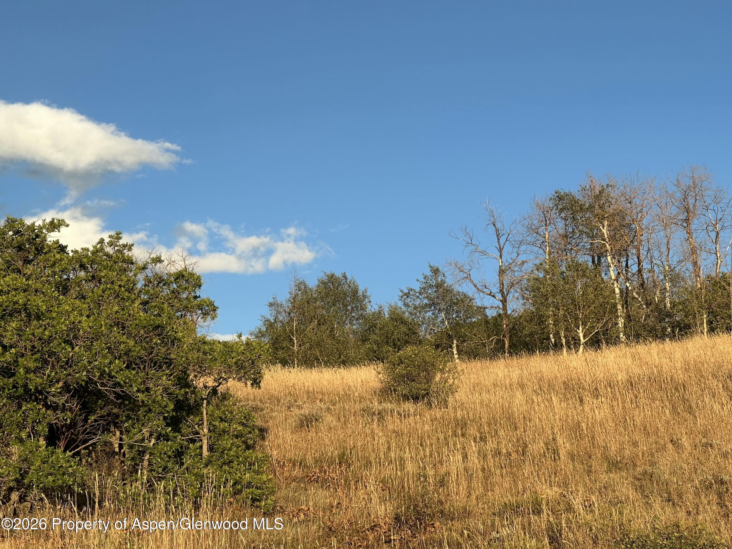 3604 Timberlane Drive Property Photo 7