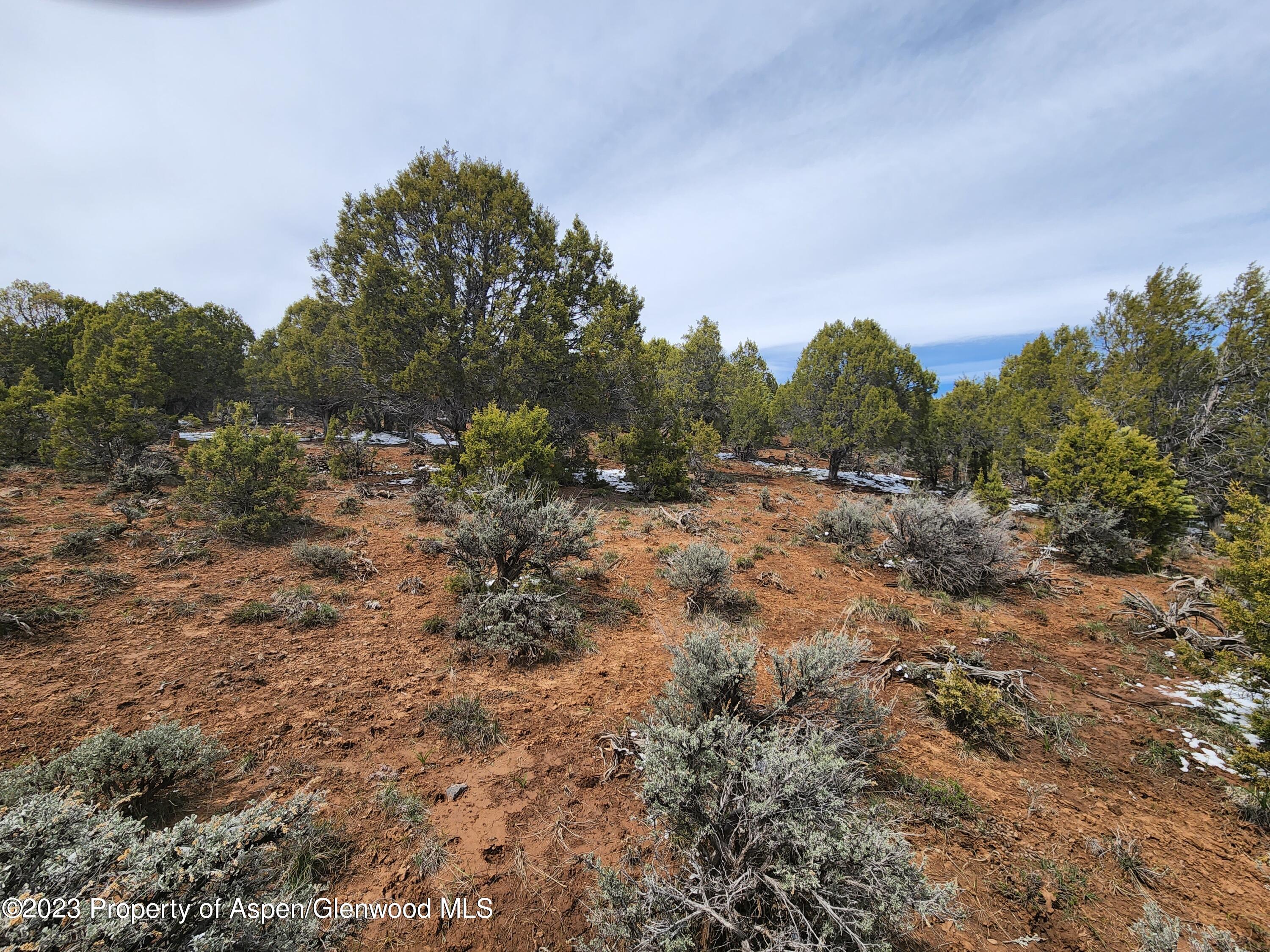 209 Crescent Lane Property Photo 4