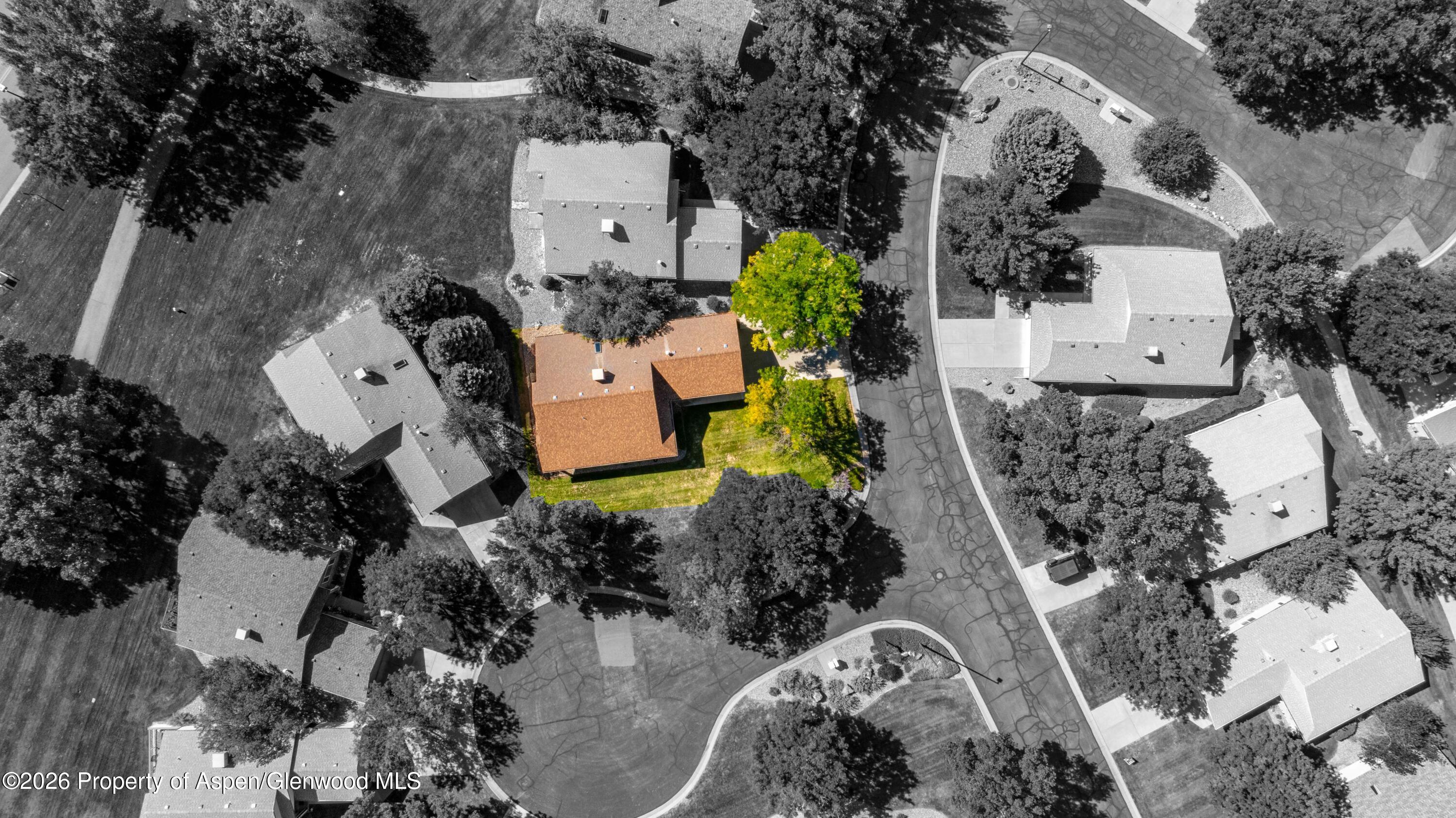 54 Limberpine Circle Property Photo 7