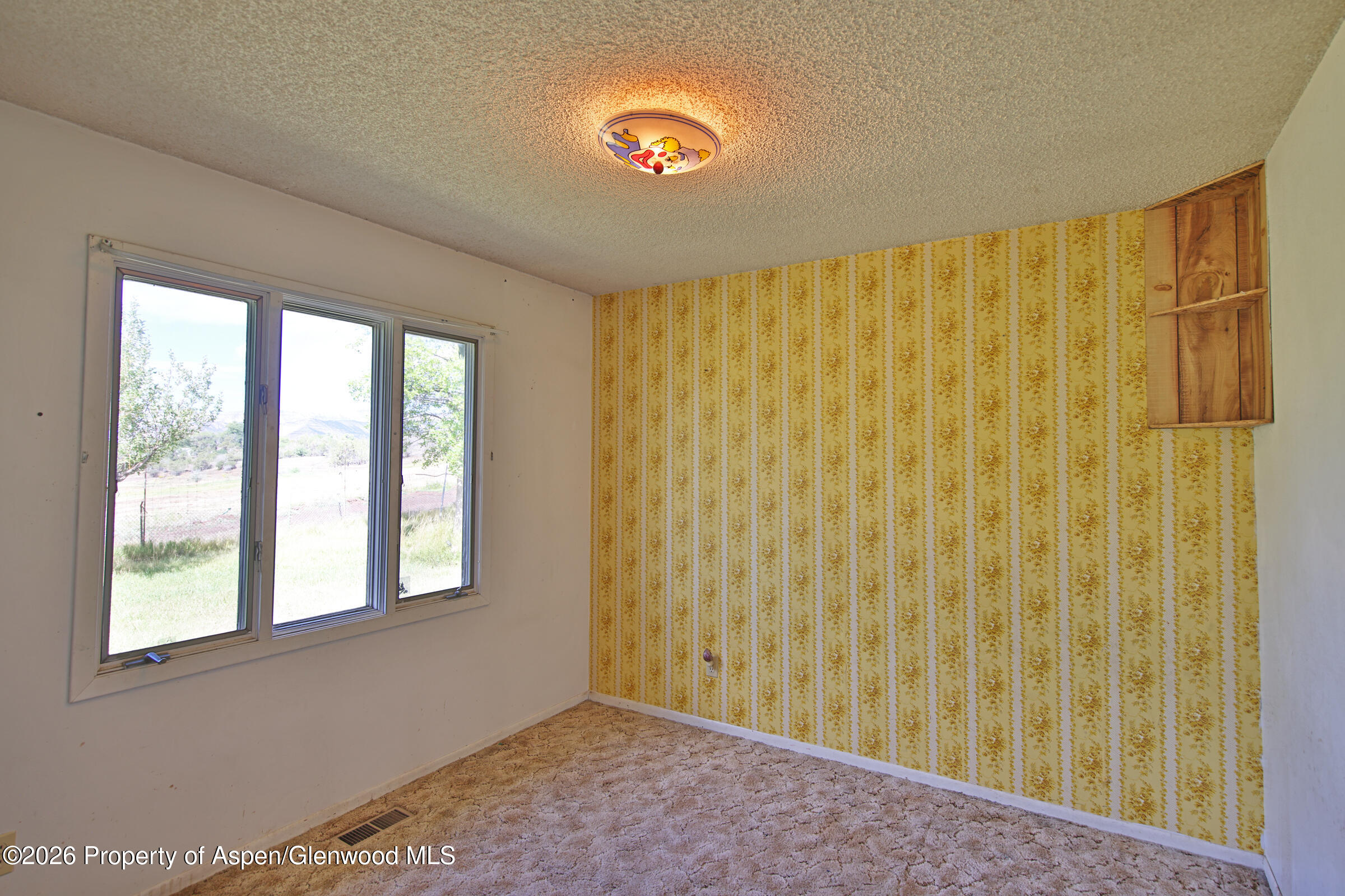 15510 59 1/2 Road Property Photo 12