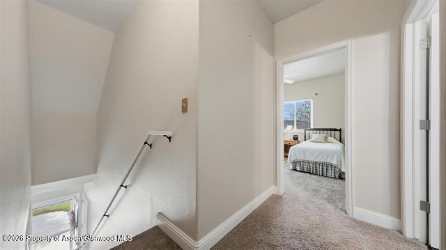 2260 Paintbrush Court Property Photo 18