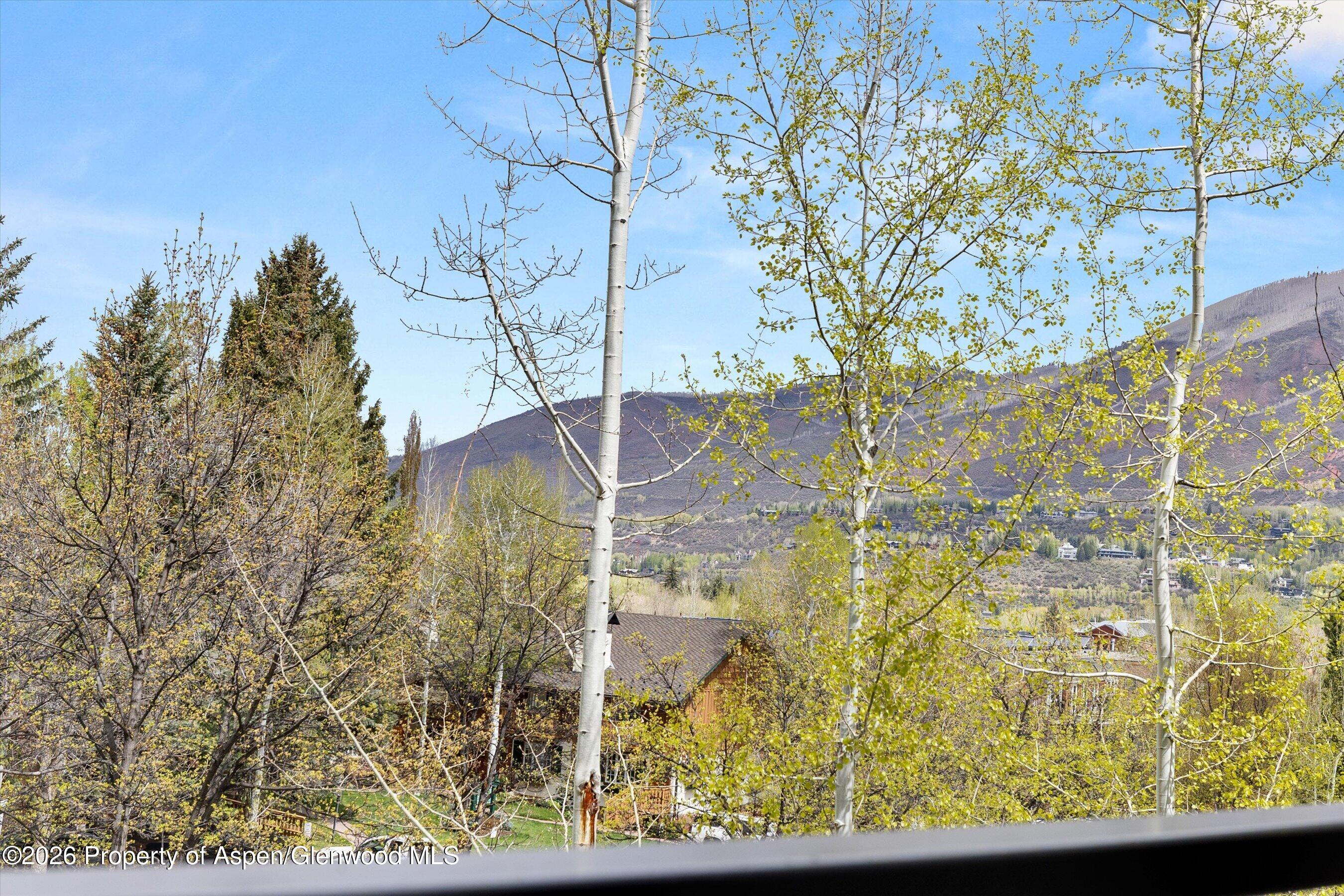 738 S Galena Street 1-c Property Photo 14