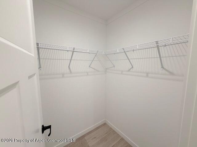 1474 N Yampa Avenue #5 Property Photo 17