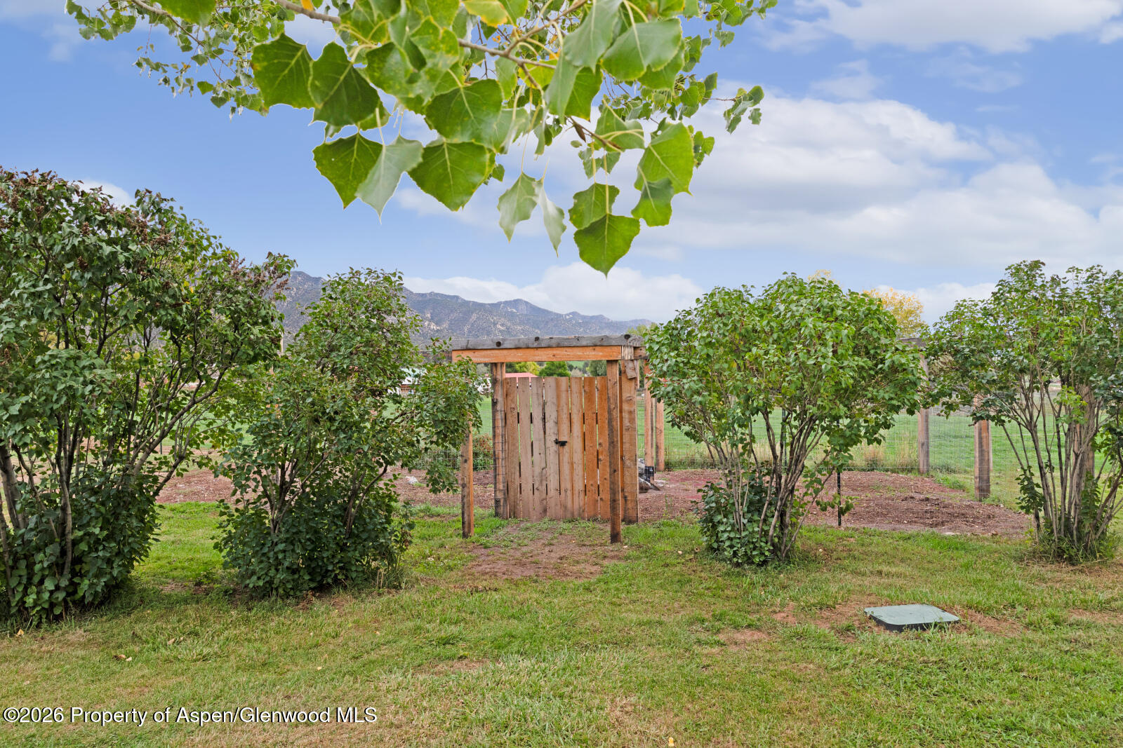 972 County Road 266 Property Photo 61