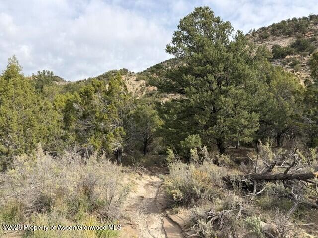 Tbd Highway 13 Property Photo 7