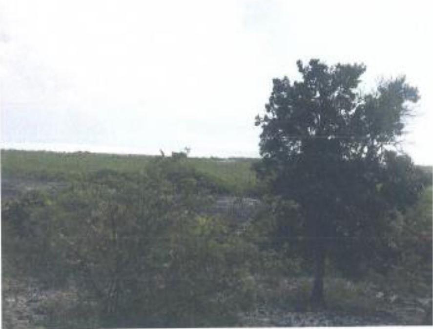 Parcel Of Land And Improv Property Photo