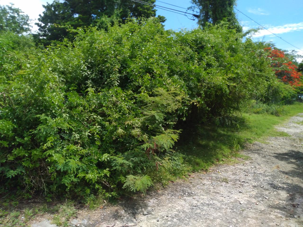 Ferguson Villa Property Photo