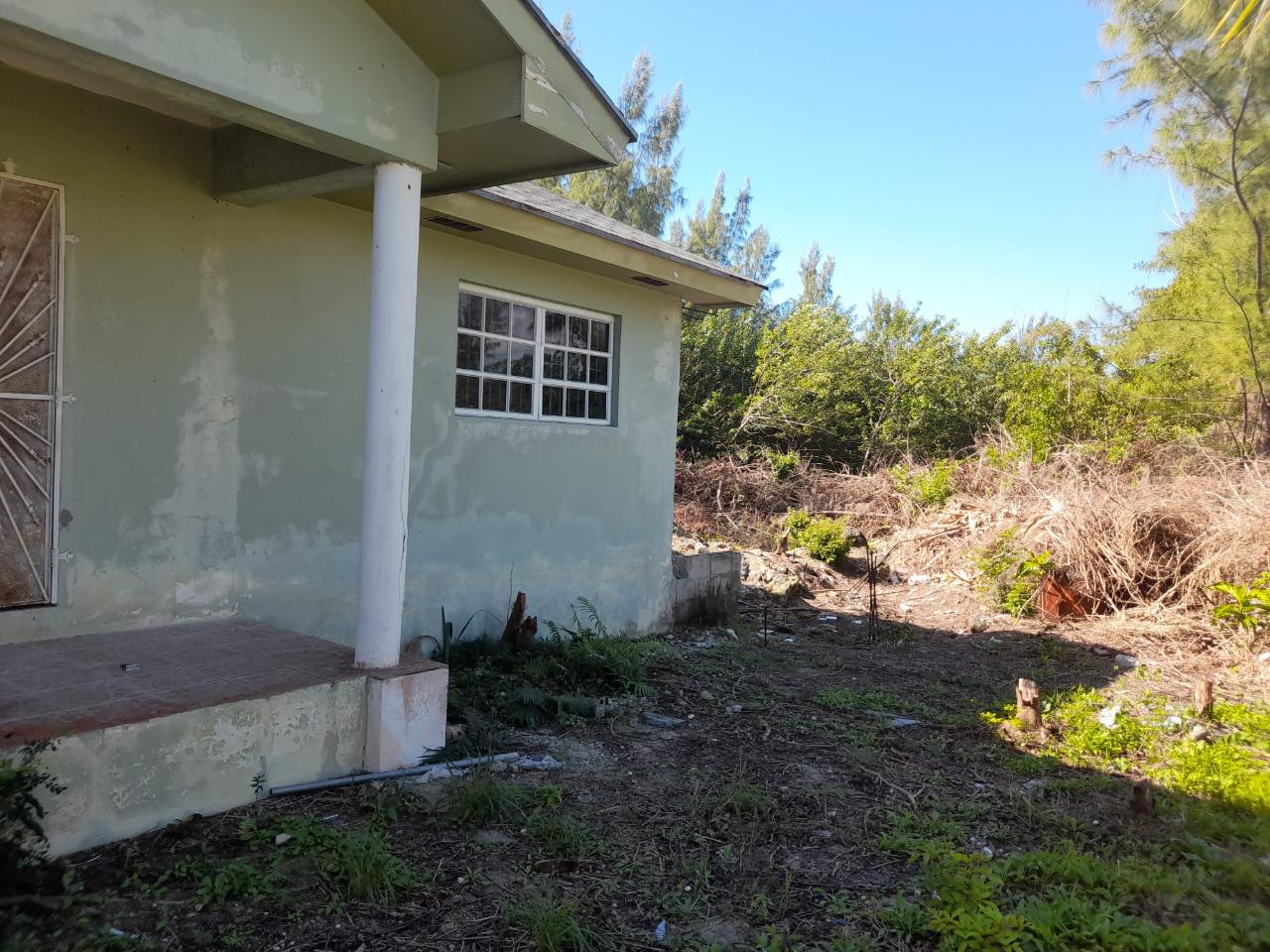 Sandilands Allotment Property Photo