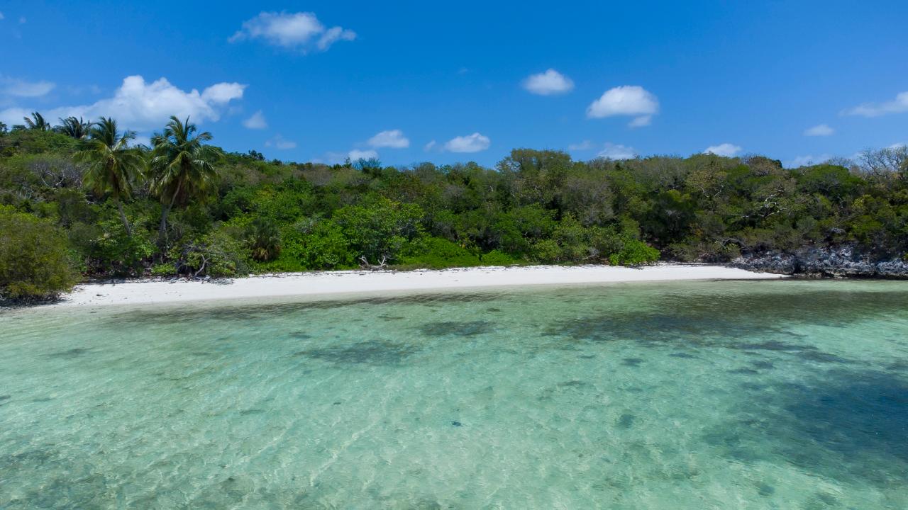 BARDOT BEACH, ISABELLA CL 31 & 32