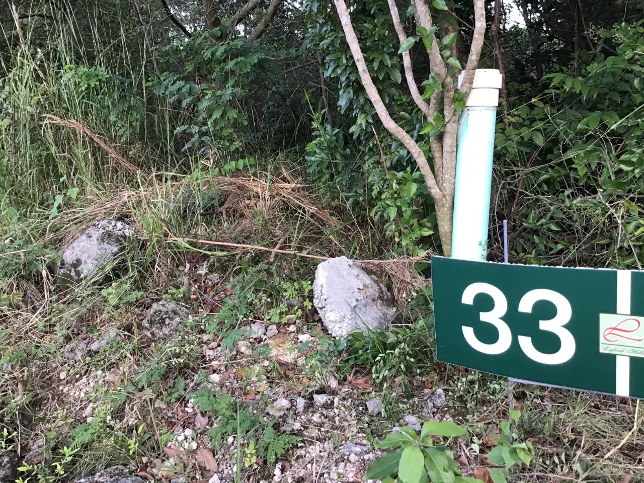 Lyford Hills Lot #33 Property Photo 3