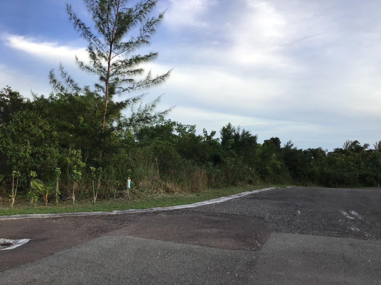 Lyford Hills Lot #33 Property Photo 8