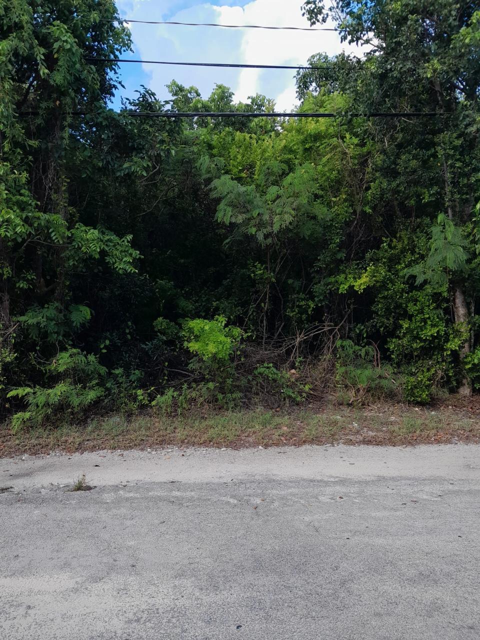 James Cistern Property Photo 2