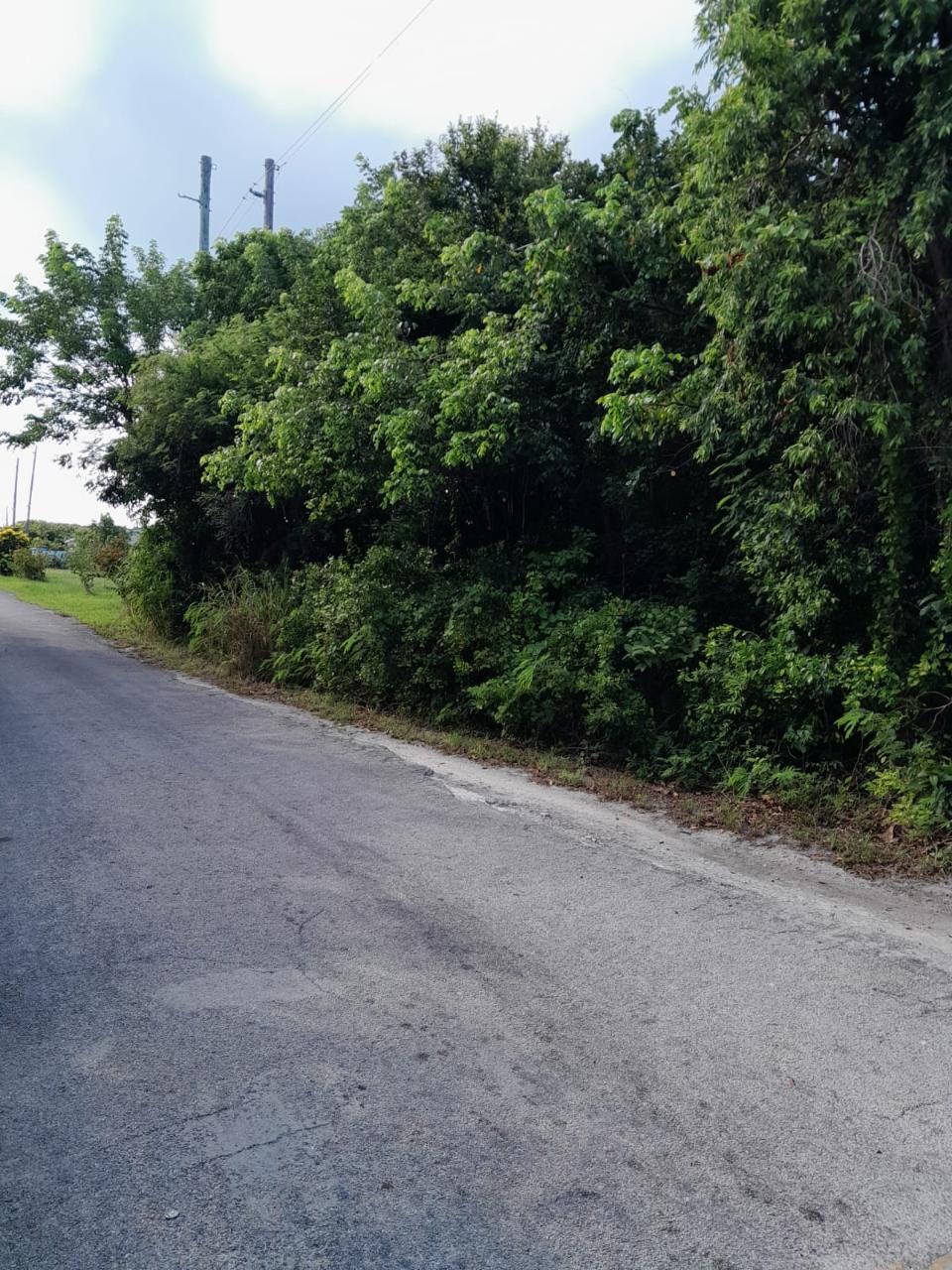 James Cistern Property Photo 4