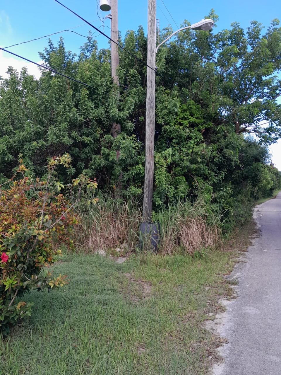 James Cistern Property Photo 6