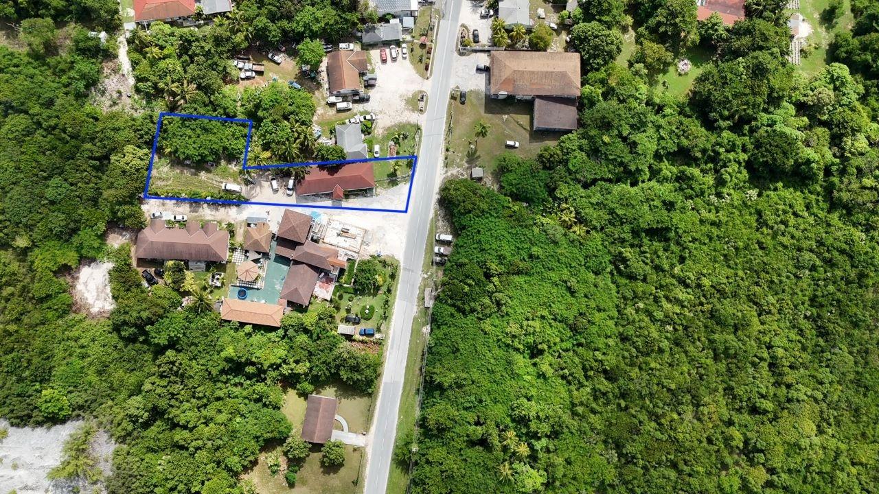 Palmetto Point Property Photo