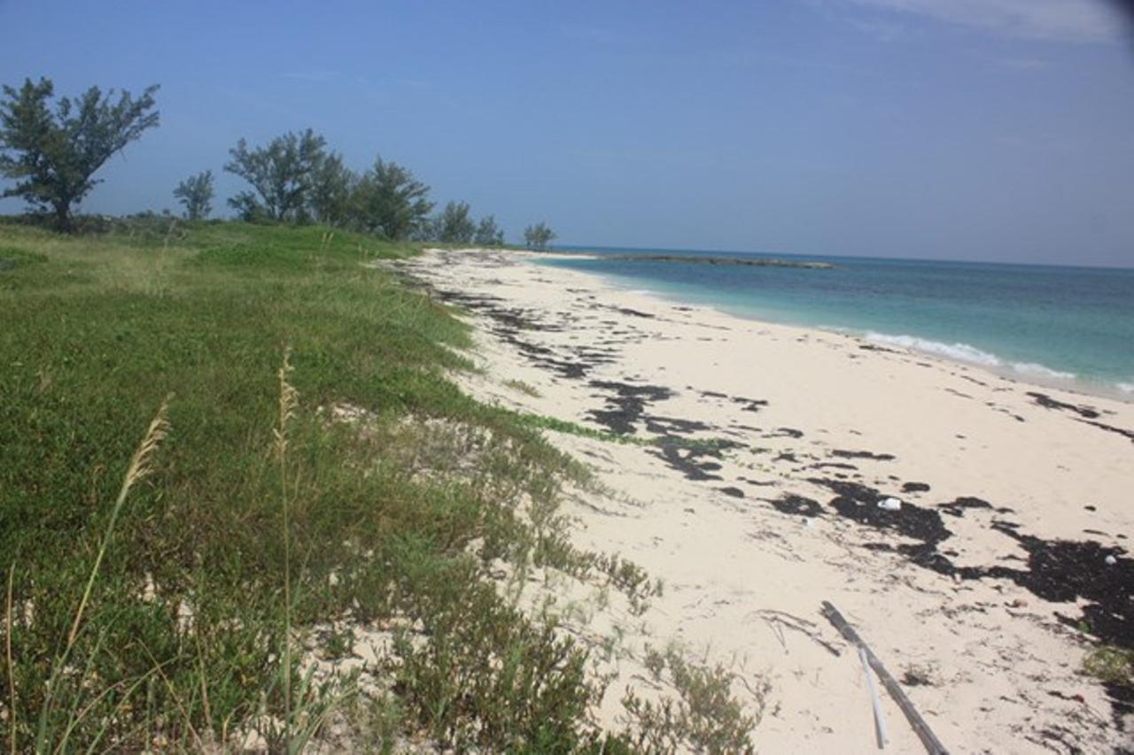 Powell Cay Property Photo 7