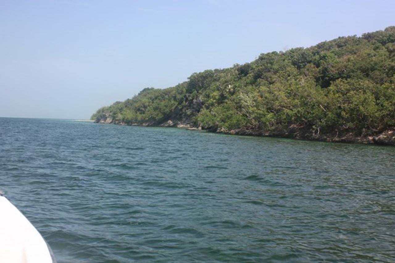 Powell Cay Property Photo 20