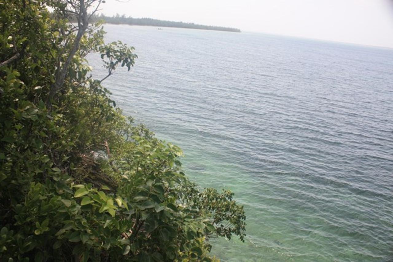Powell Cay Property Photo 23