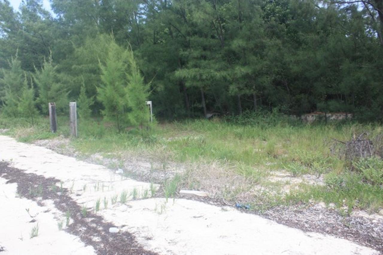 Powell Cay Property Photo 24