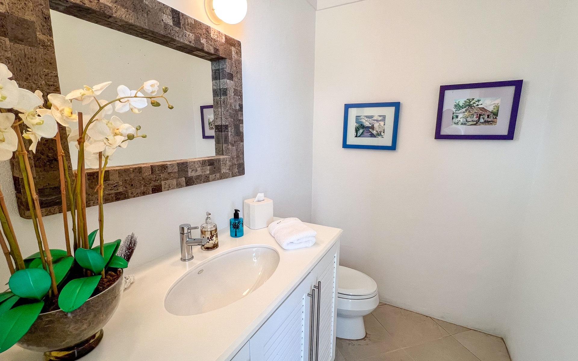 Windermere Island Property Photo 50
