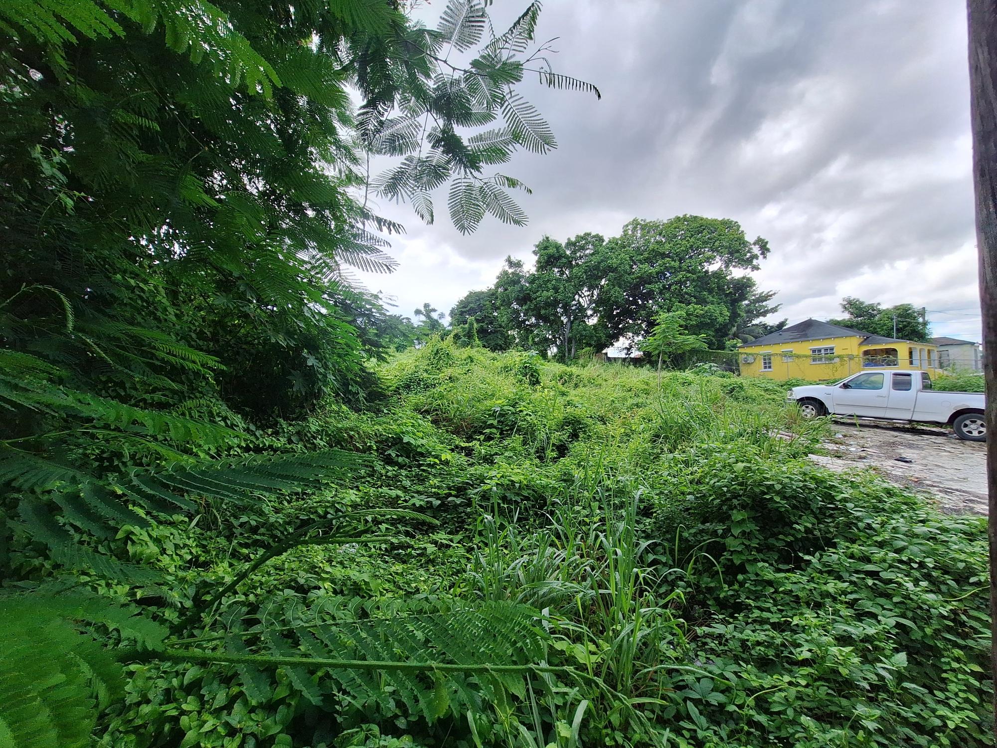 Kemp Road 1/2 Acre Lot Property Photo 1