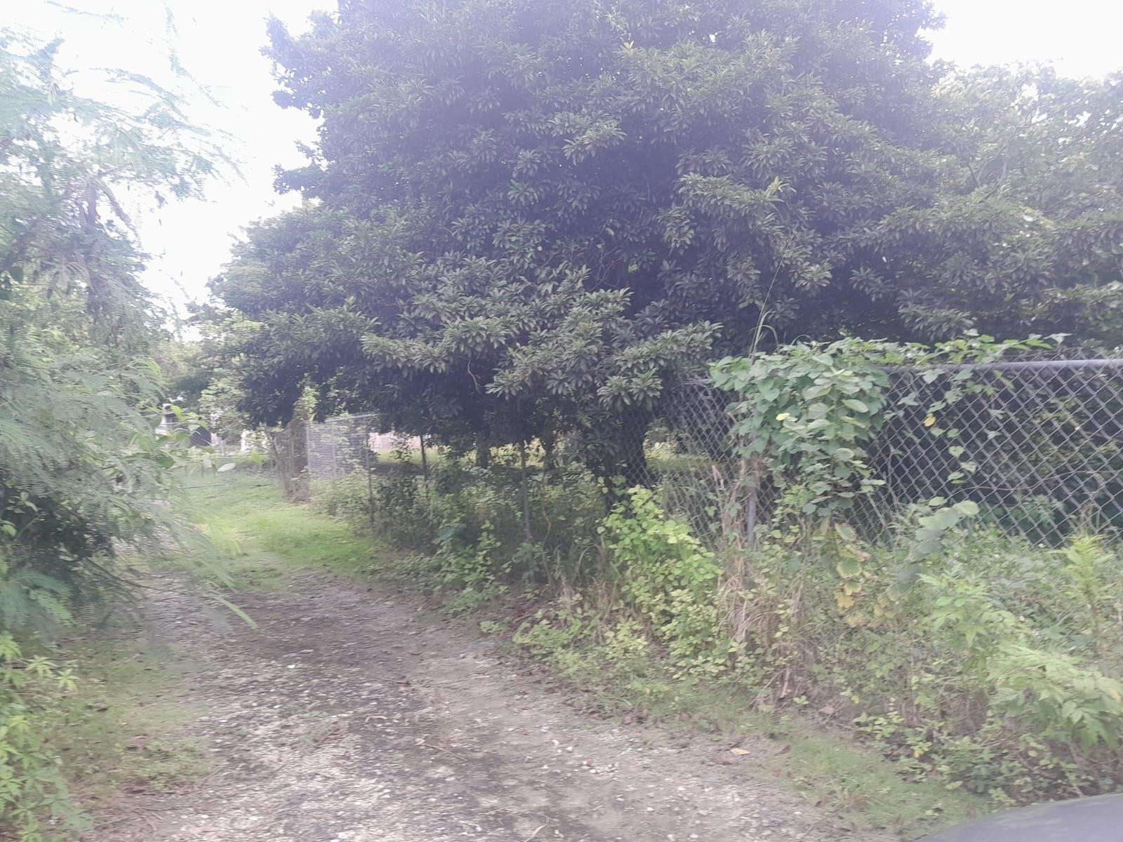 Lot 8 & 10 Ferguson Villa Lot 8 & 10 Property Photo