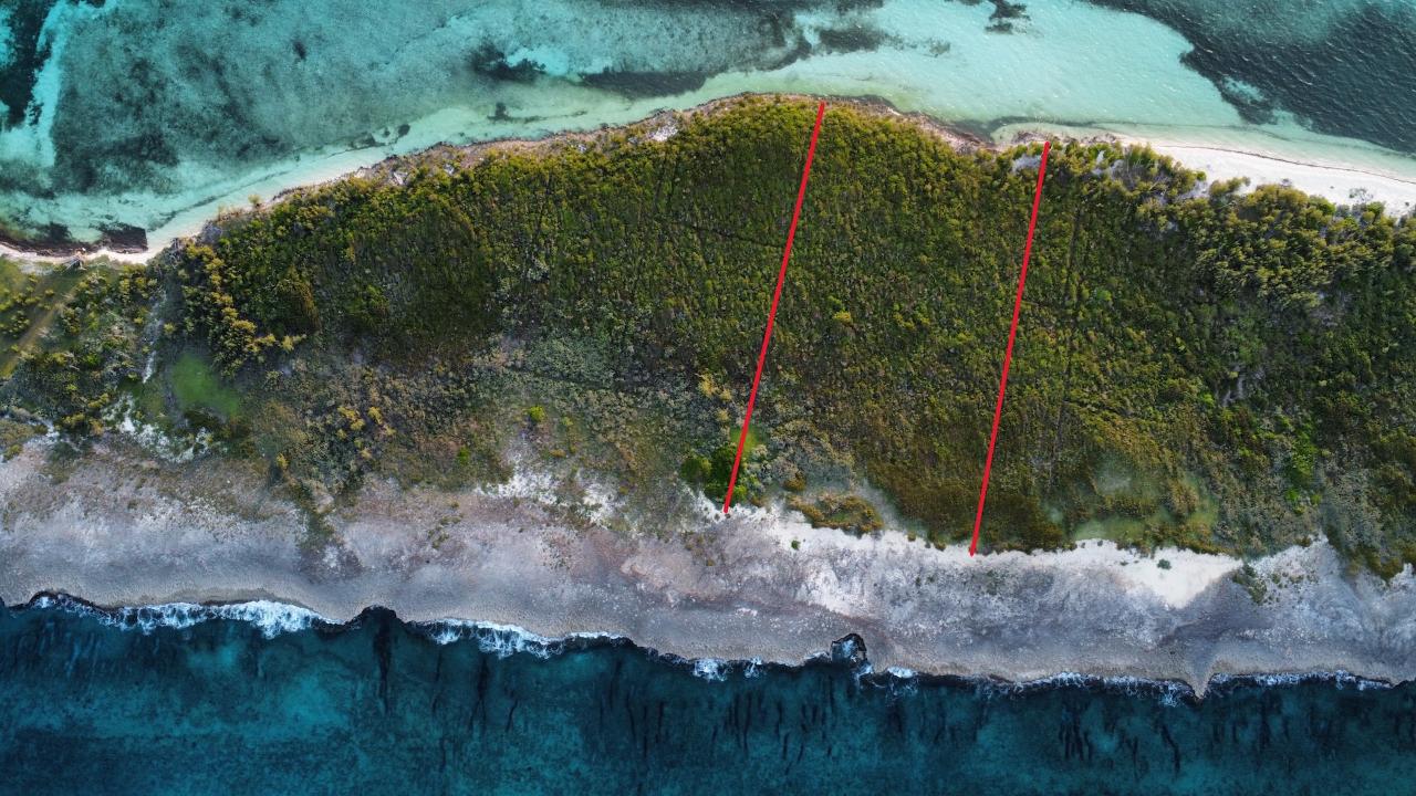 Tilloo Cay Property Photo